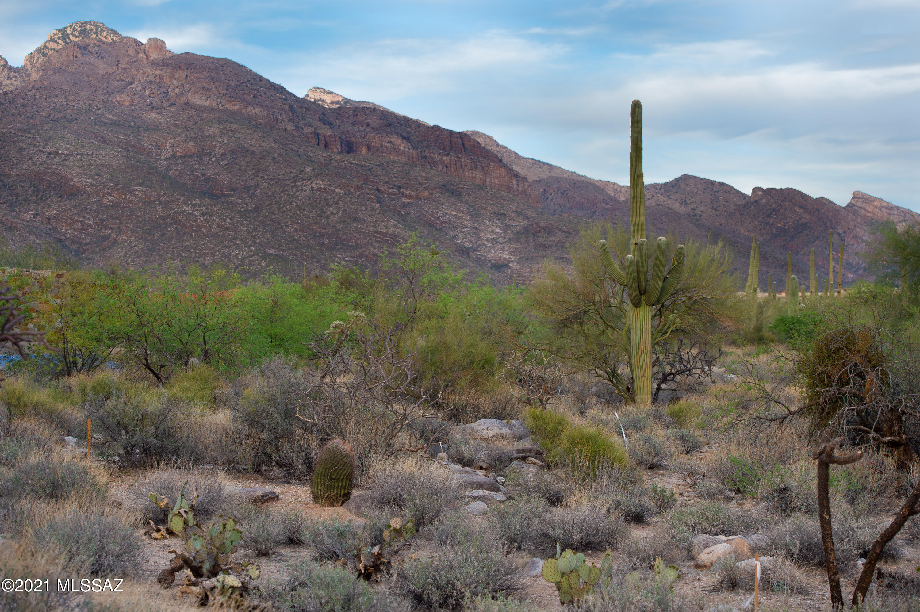 1307 E Desert Garden Drive Unit: 138