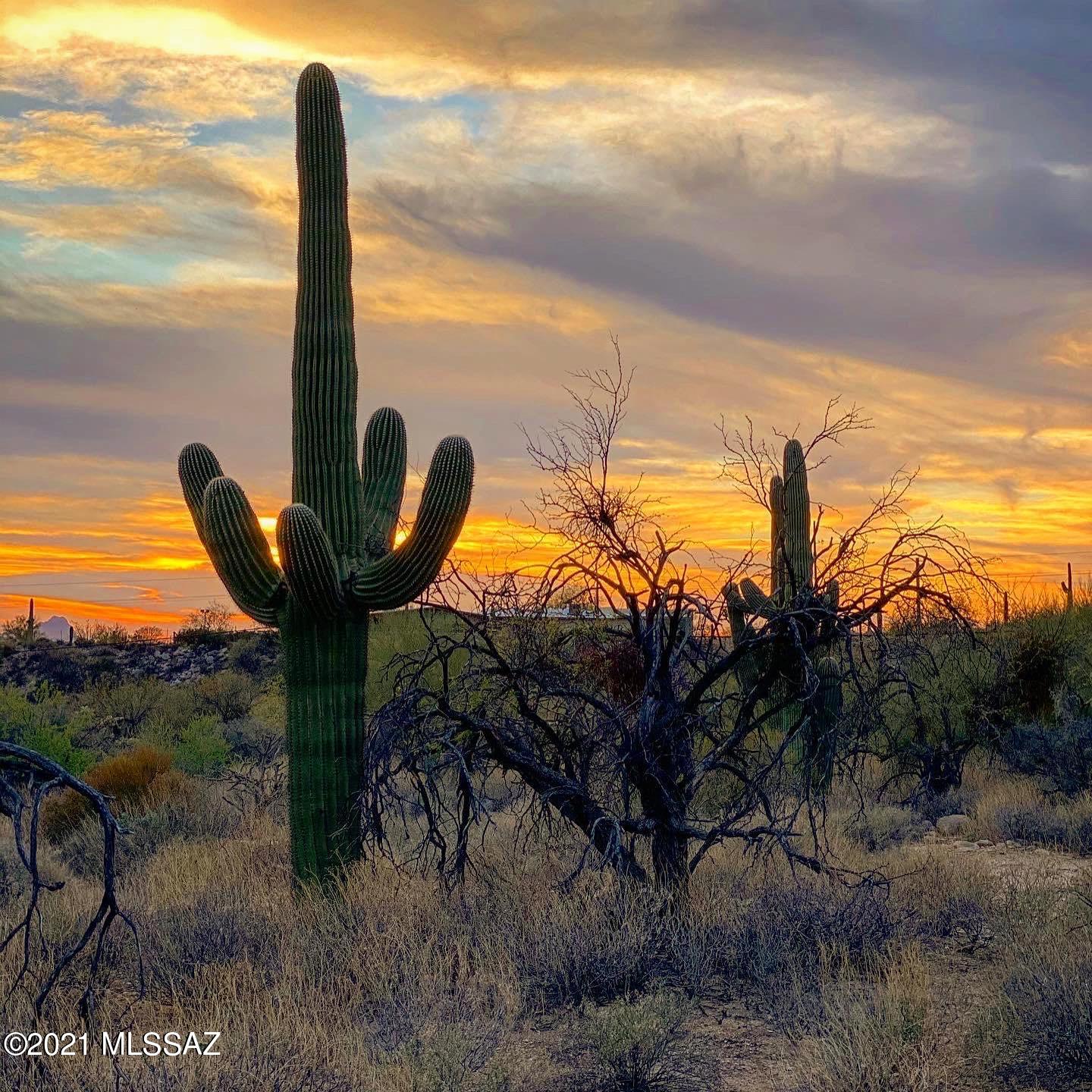 1307 E Desert Garden Drive Unit: 138