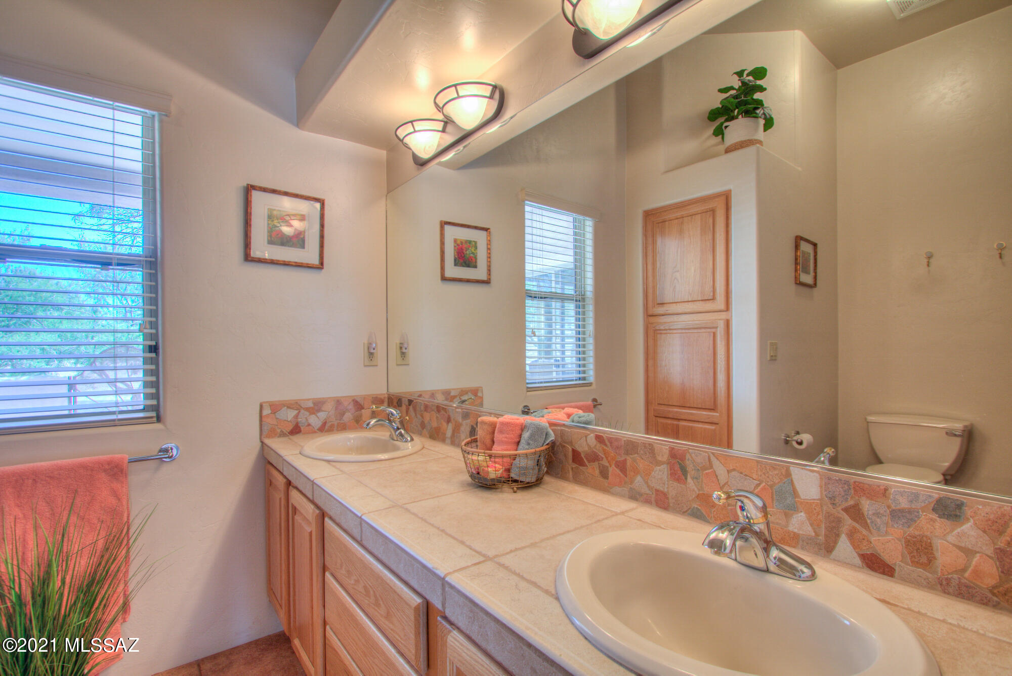 10803 E Placita Marimba