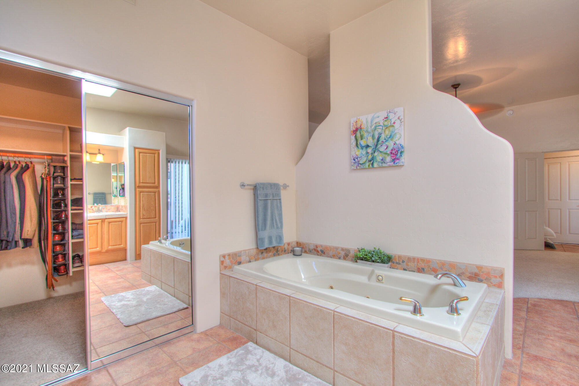 10803 E Placita Marimba