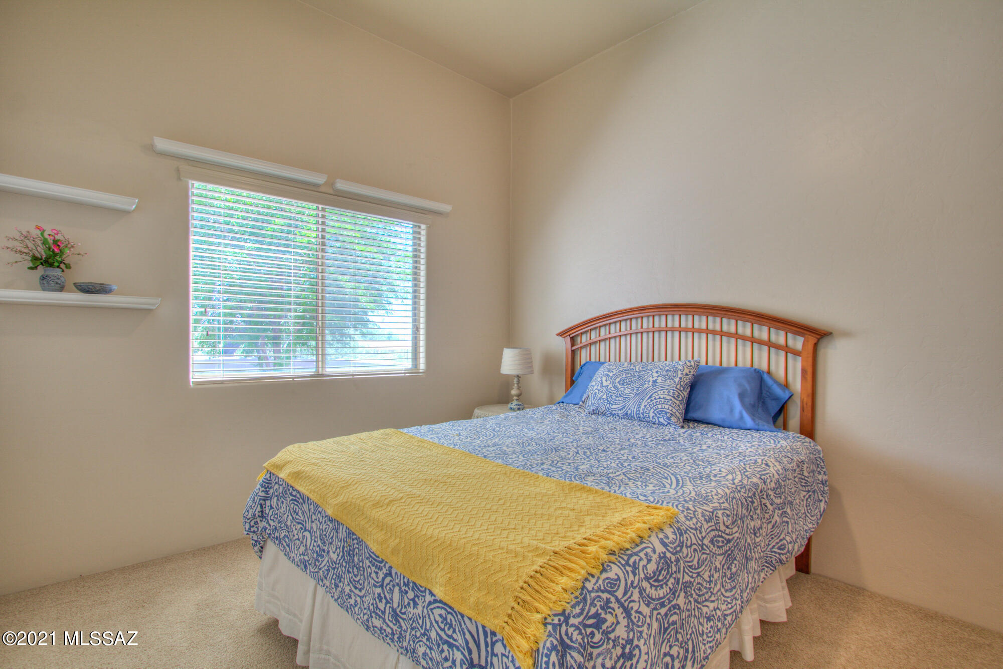 10803 E Placita Marimba