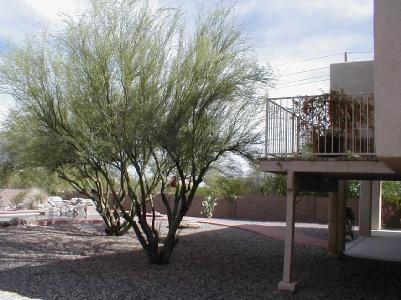 11216 N Via Rancho Naranjo