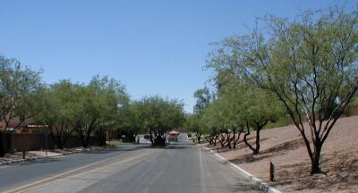 10198 N Pitching Wedge Lane