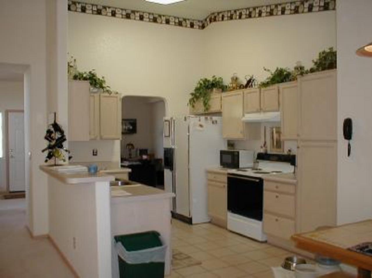 9041 N Yellow Moon Drive