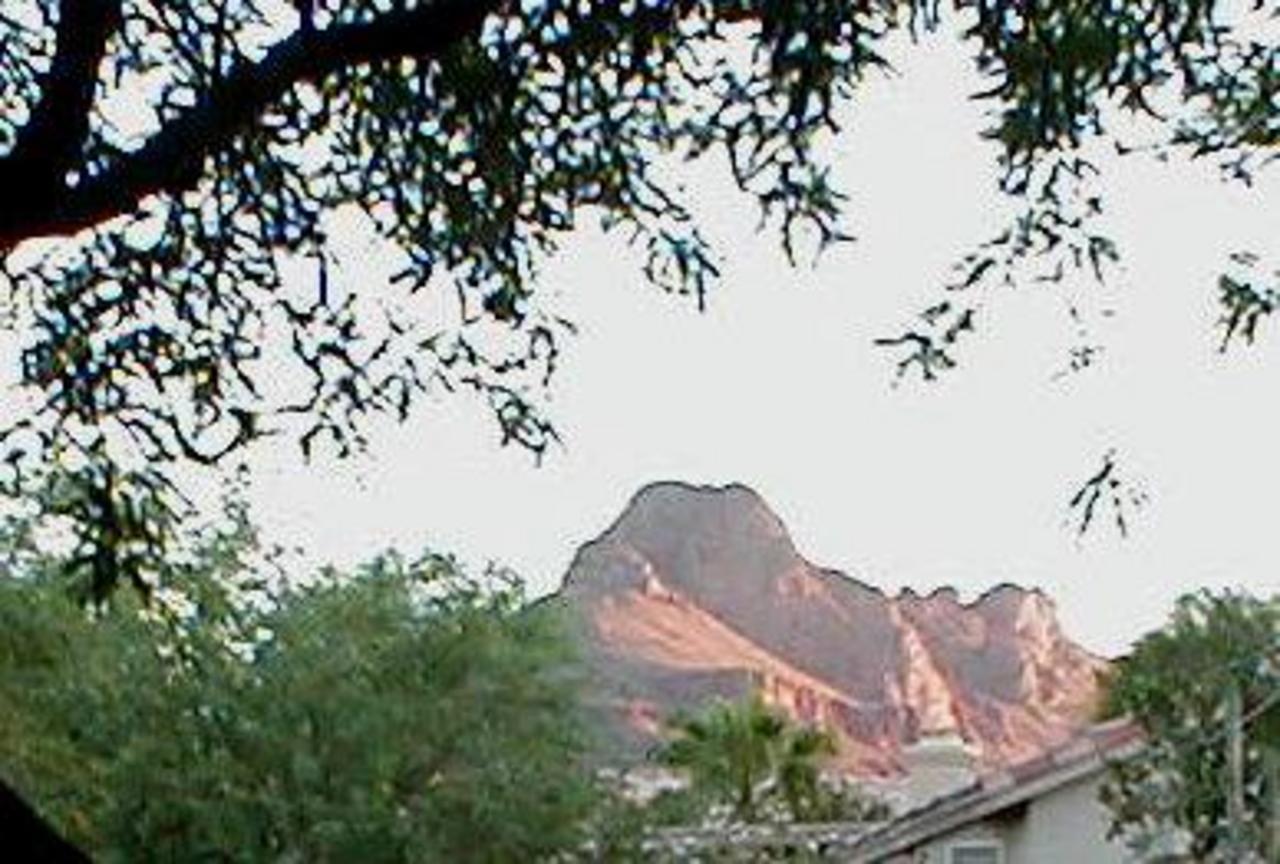 9041 N Yellow Moon Drive