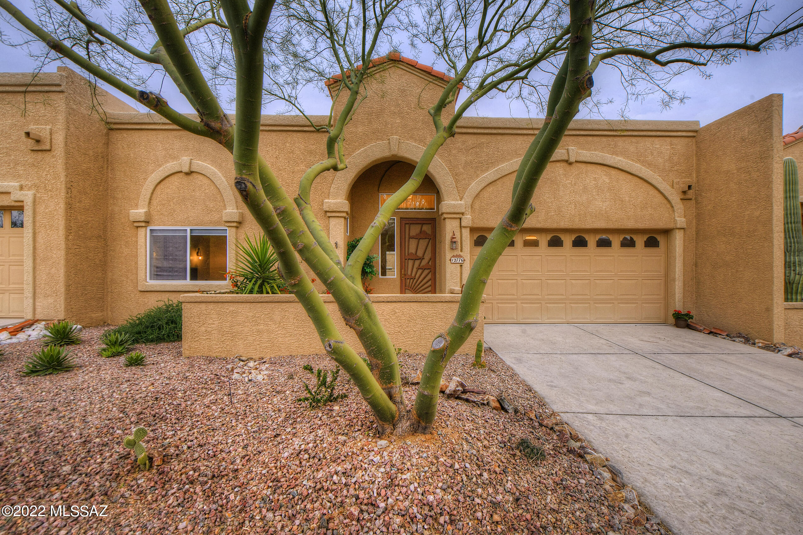 12776 N Walking Deer Place