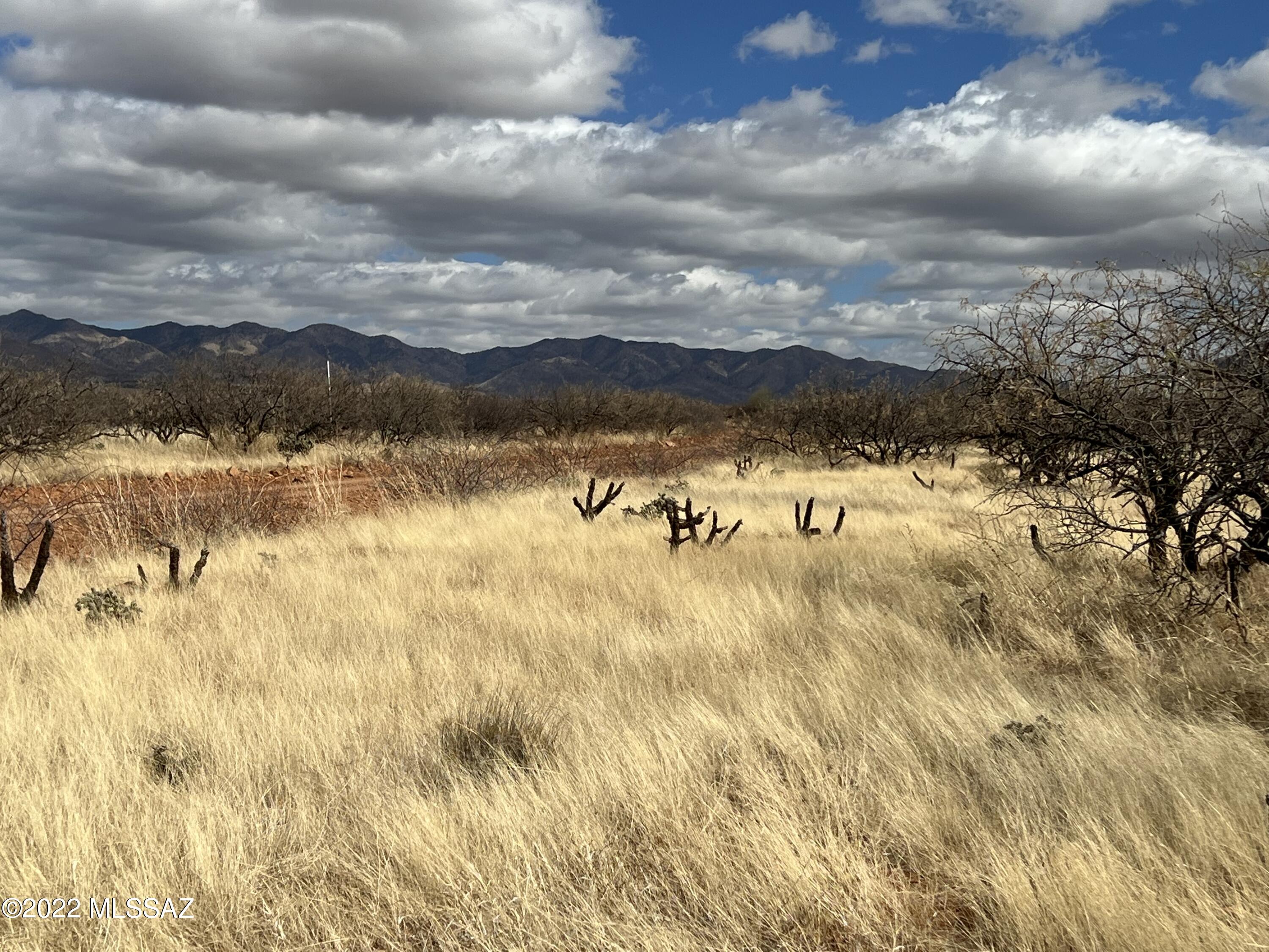 TBD Camino Nacozari/ Camino Talave Unit: 39