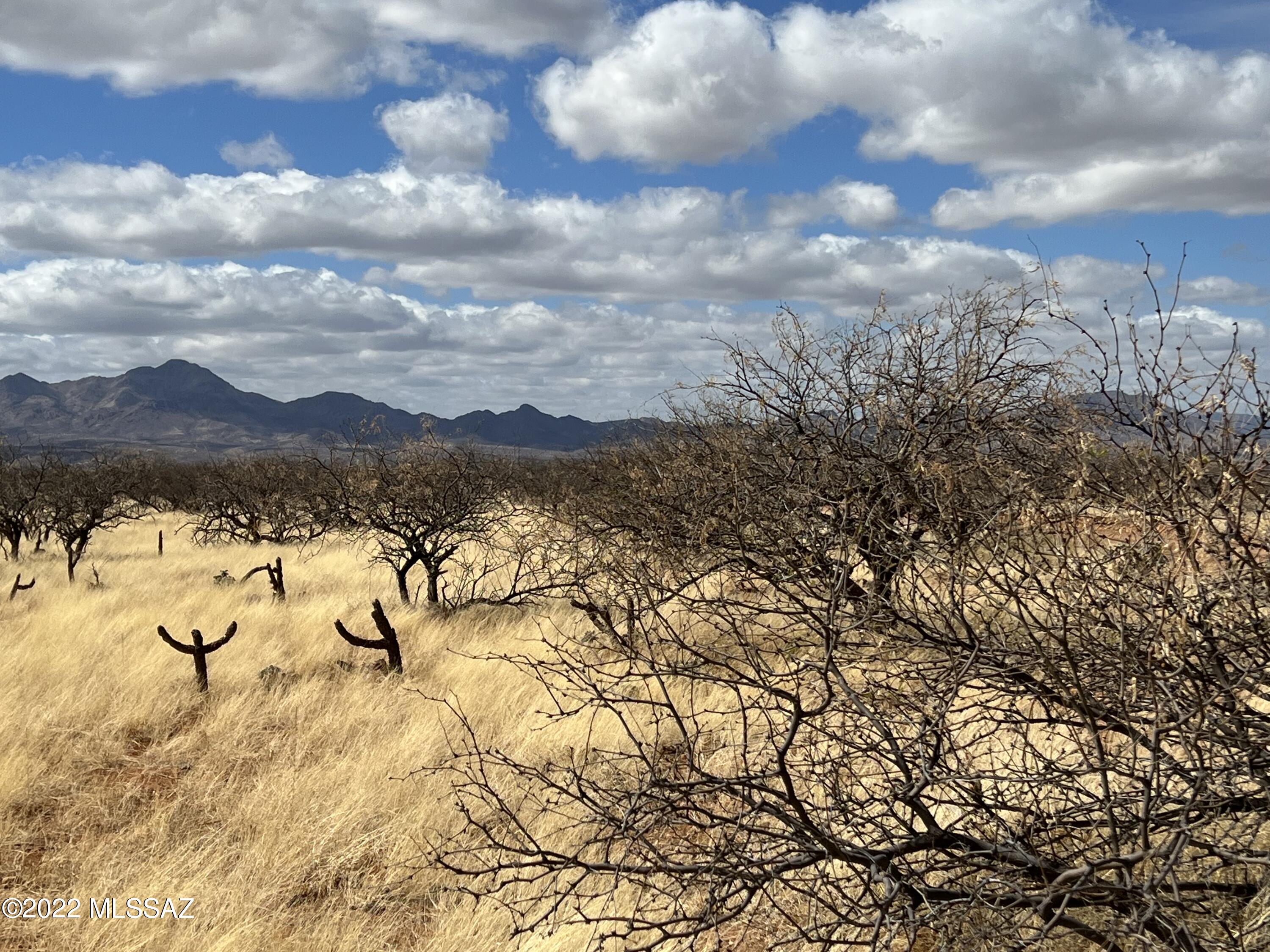 TBD Camino Nacozari/ Camino Talave Unit: 39