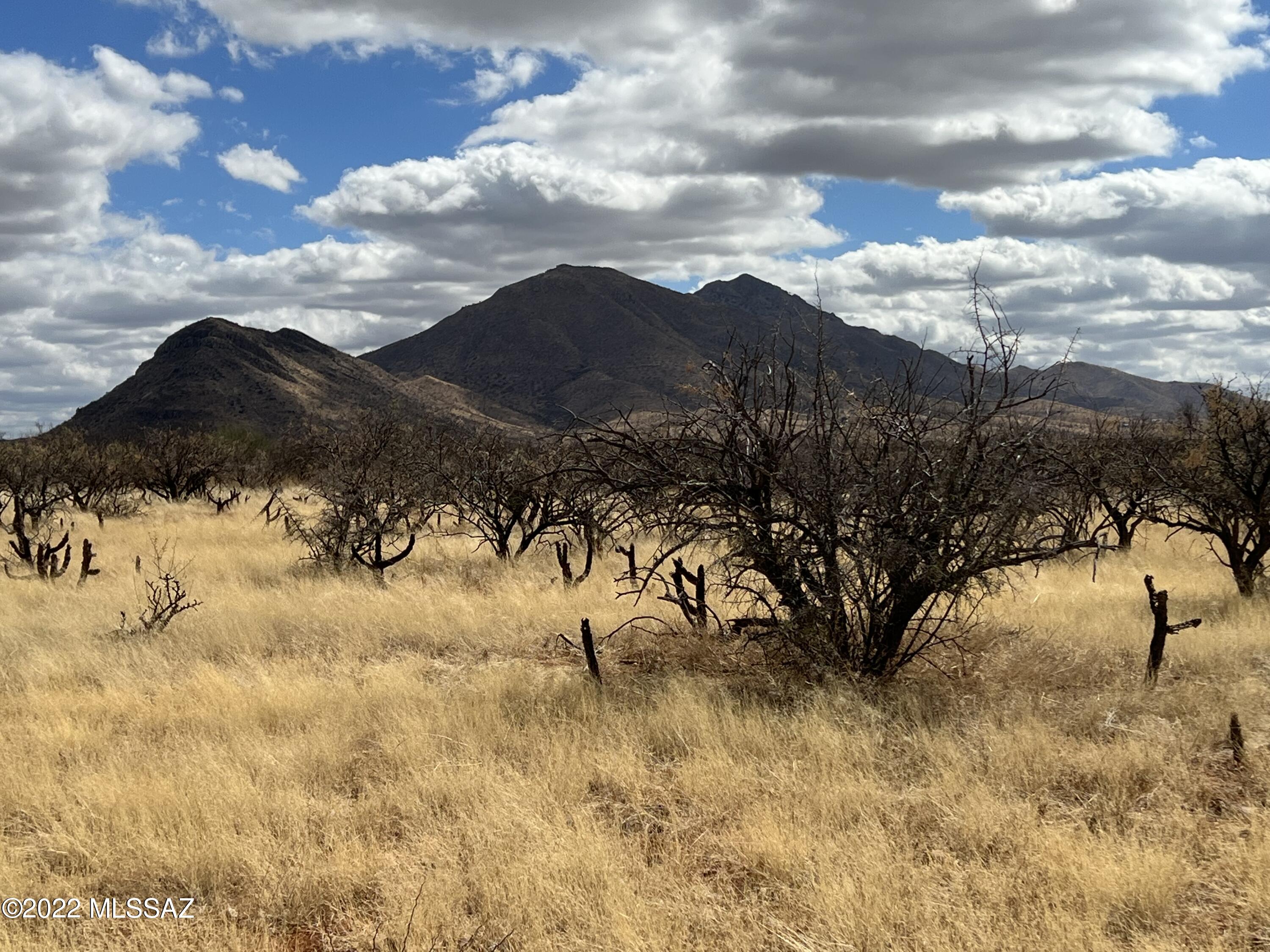 TBD Camino Nacozari/ Camino Talave Unit: 39