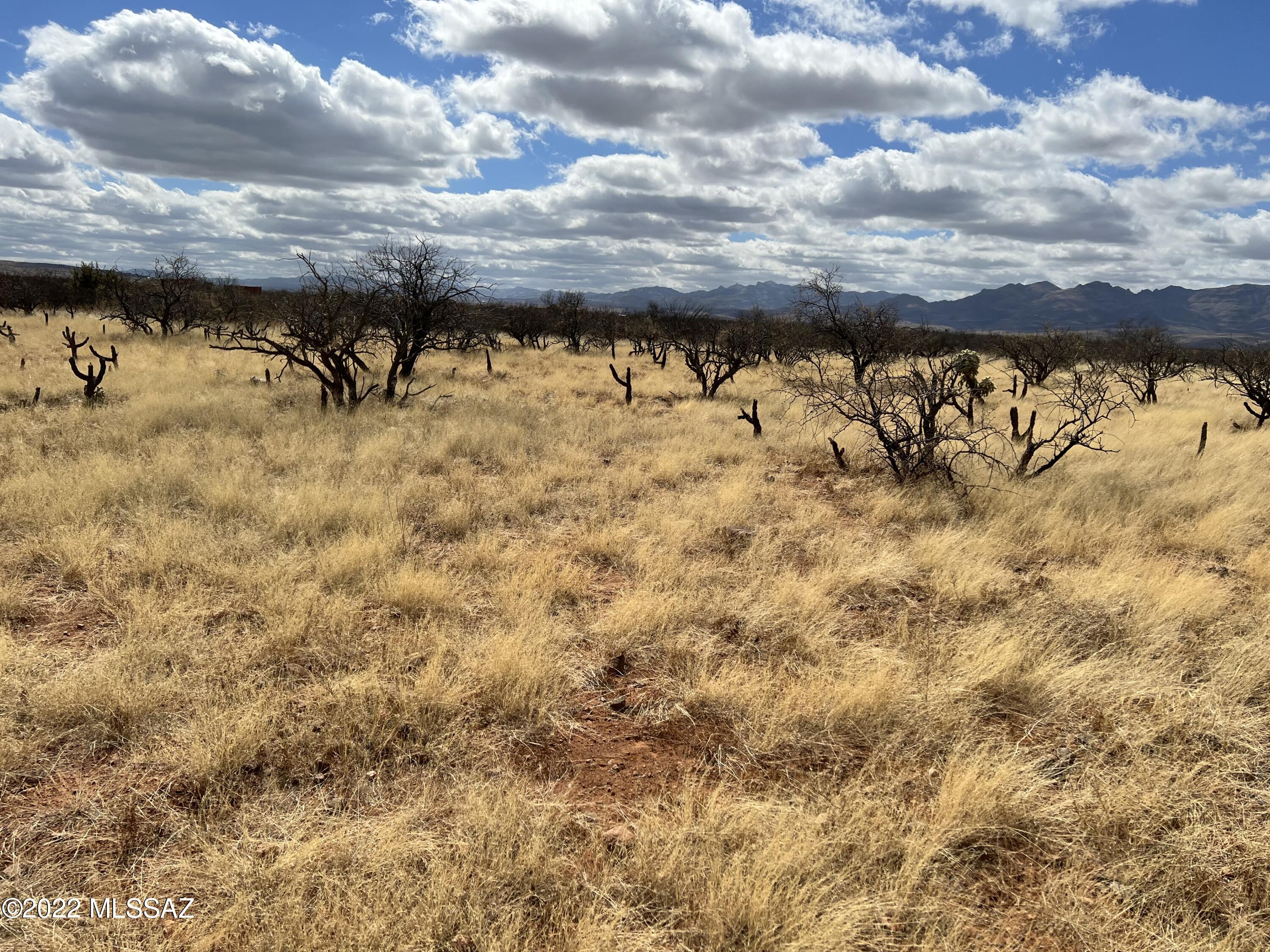 TBD Camino Nacozari/ Camino Talave Unit: 39