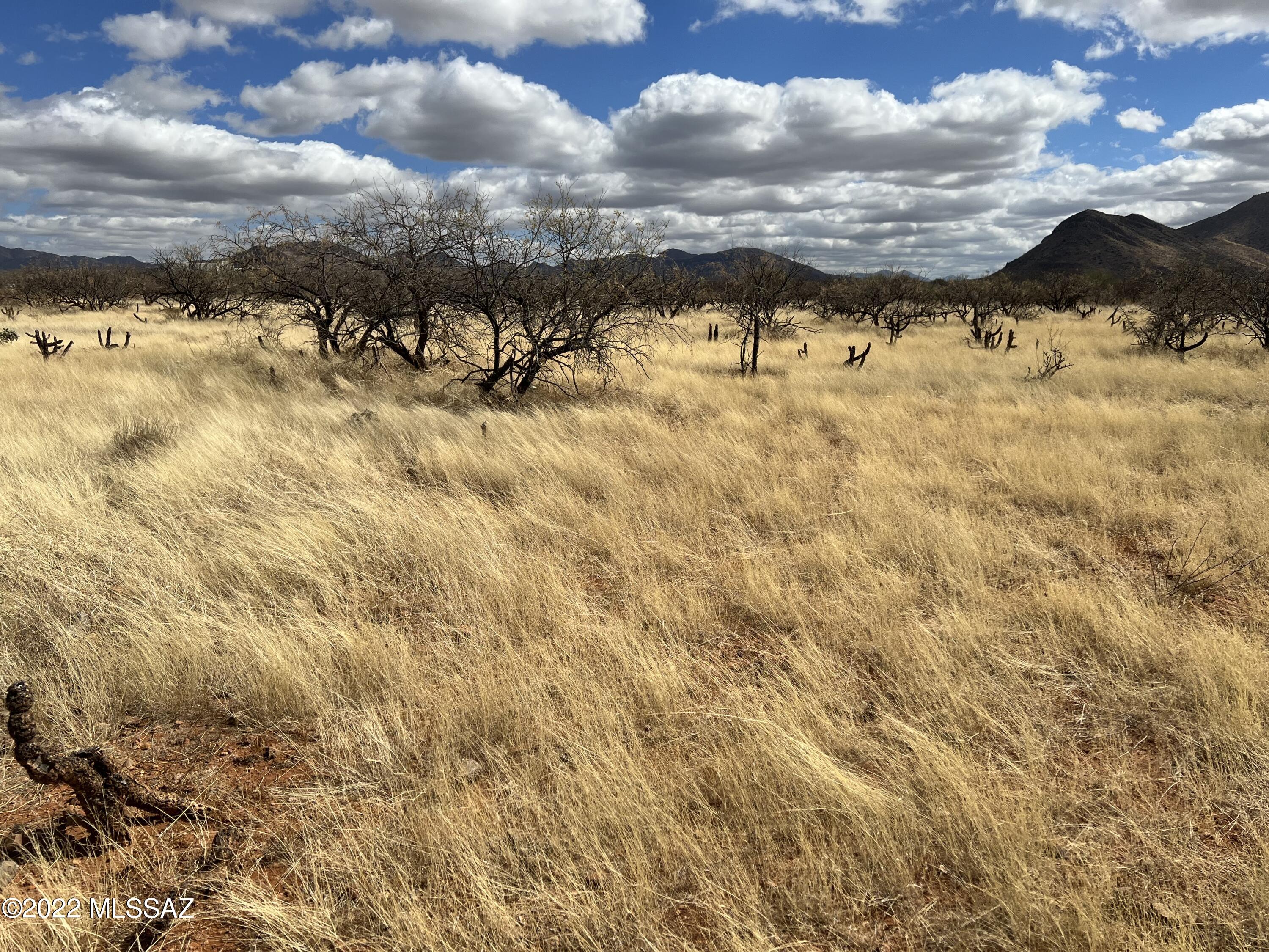 TBD Camino Nacozari/ Camino Talave Unit: 39