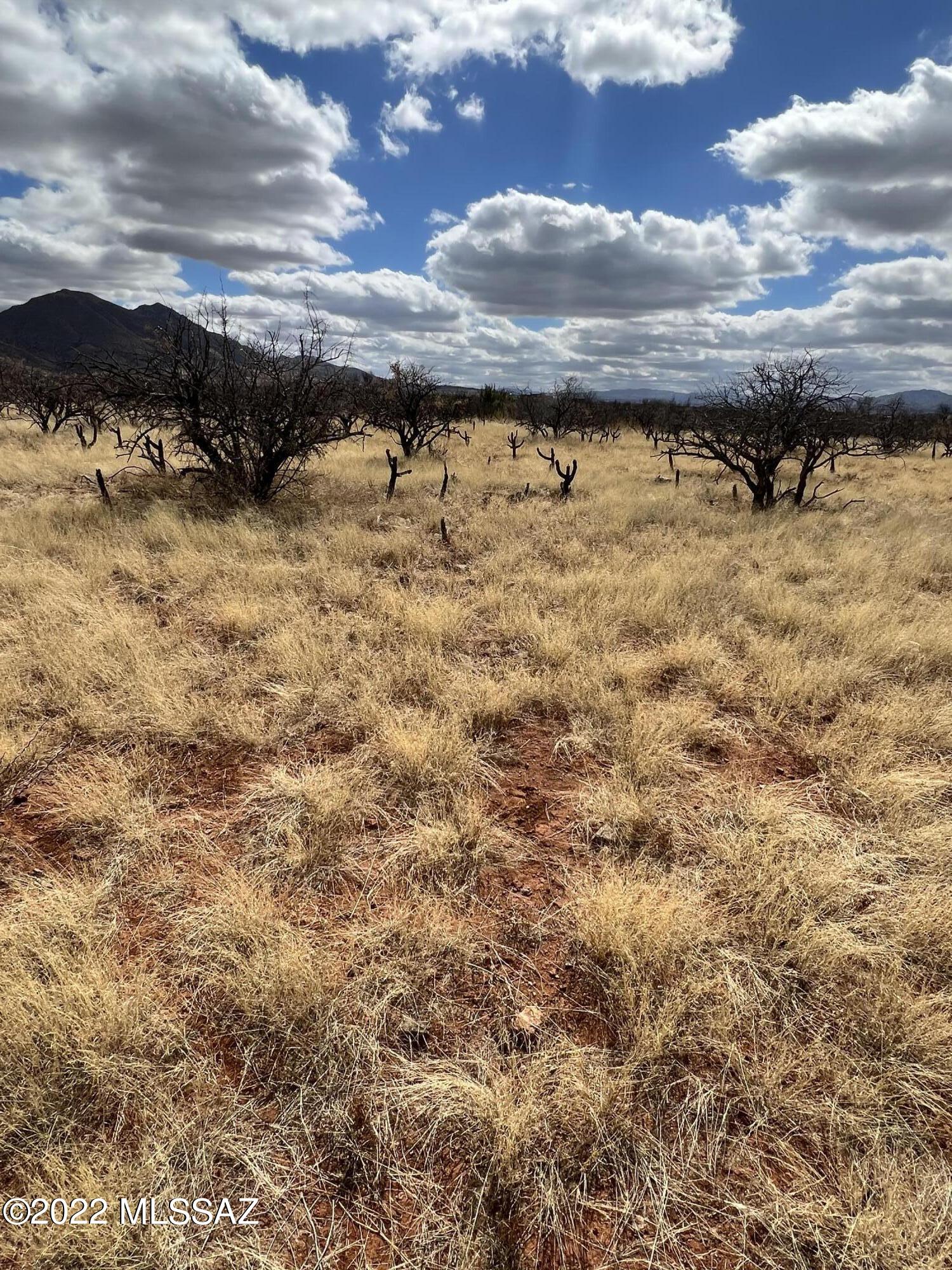TBD Camino Nacozari/ Camino Talave Unit: 39