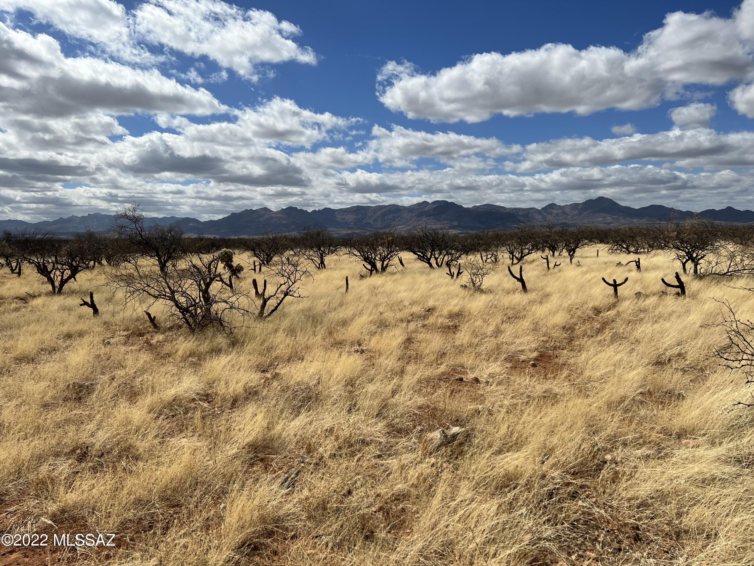 TBD Camino Nacozari/ Camino Talave Unit: 39