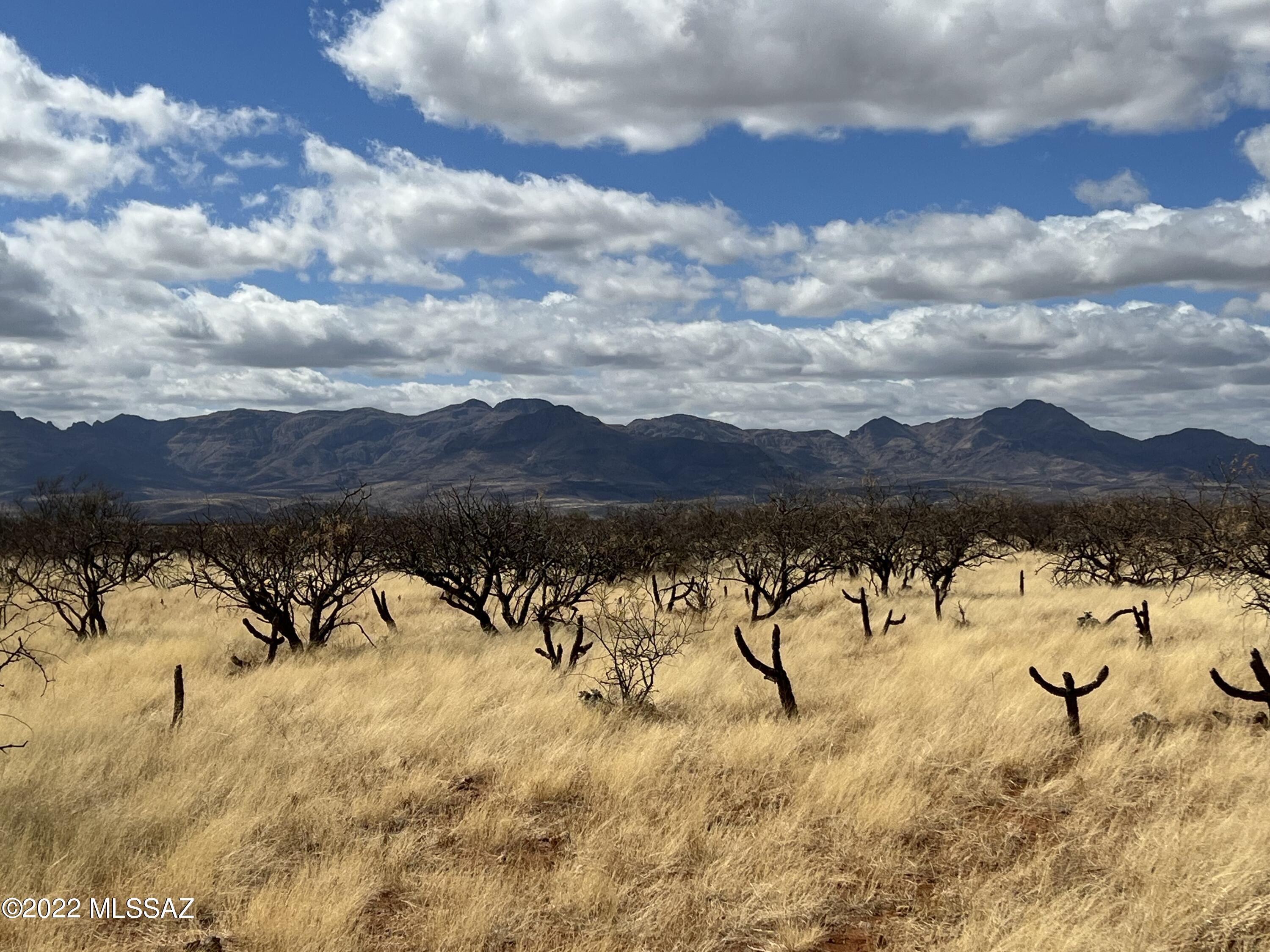 TBD Camino Nacozari/ Camino Talave Unit: 39