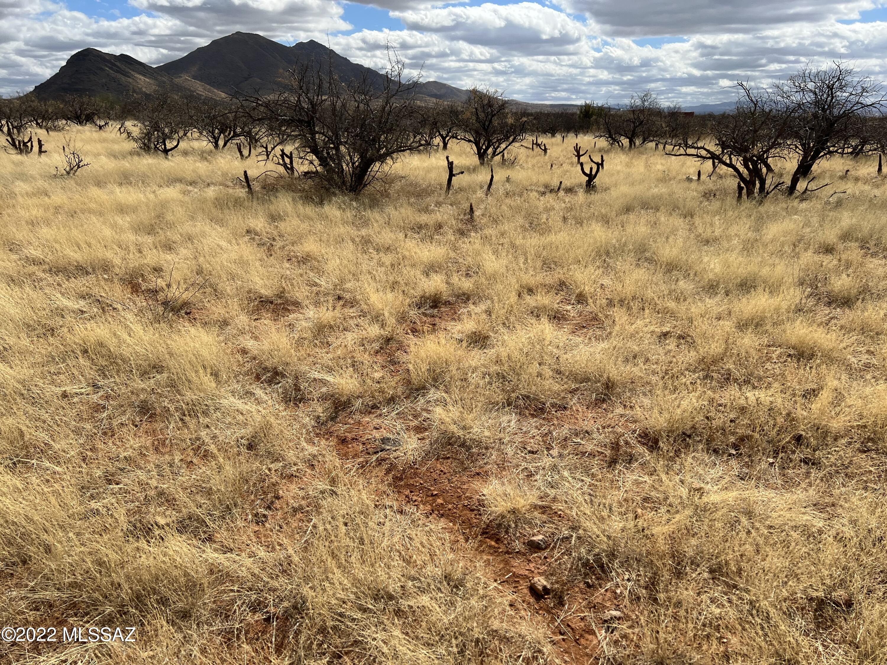 TBD Camino Nacozari/ Camino Talave Unit: 39