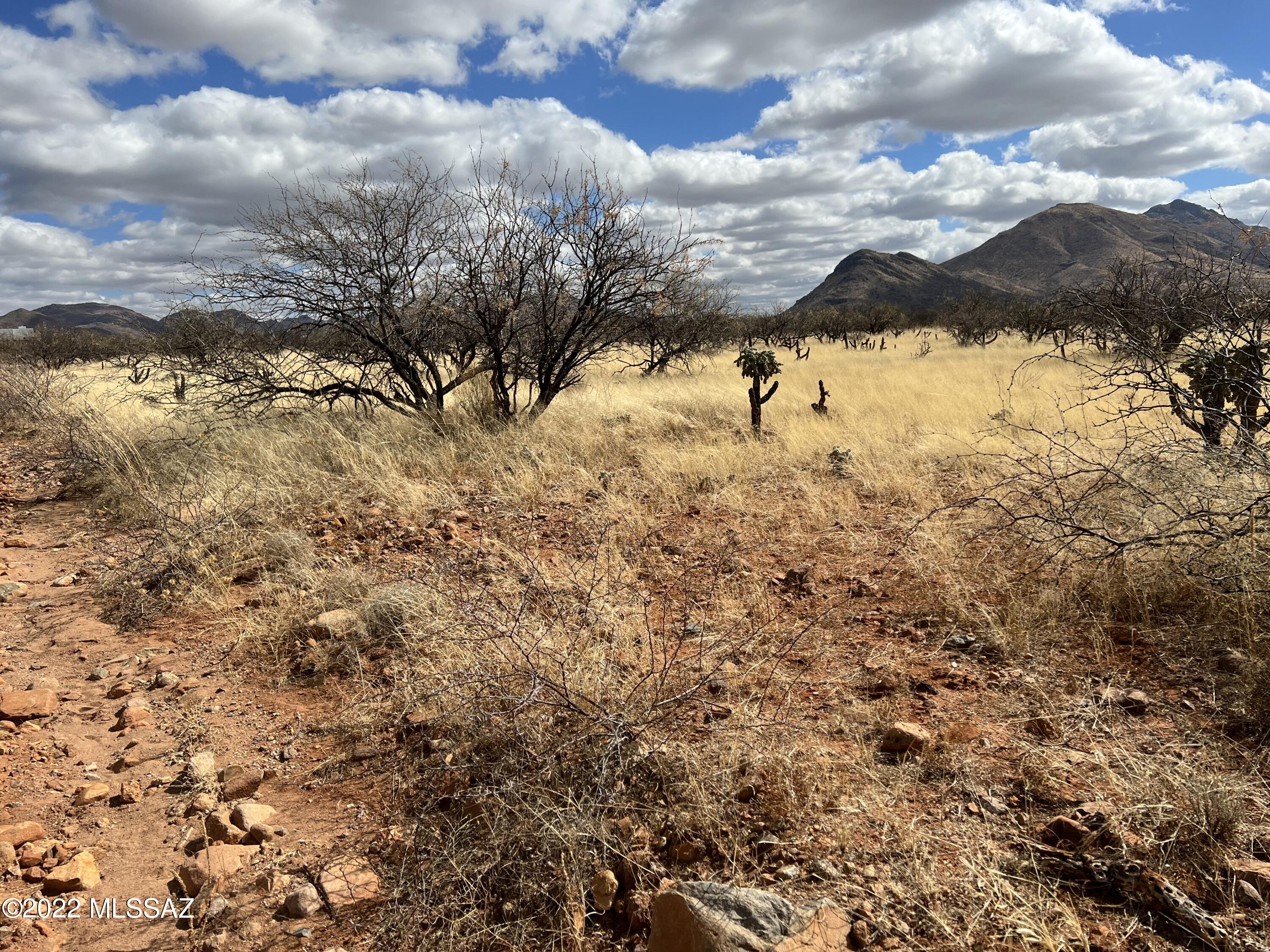 TBD Camino Nacozari/Camino Talaver Unit: 39