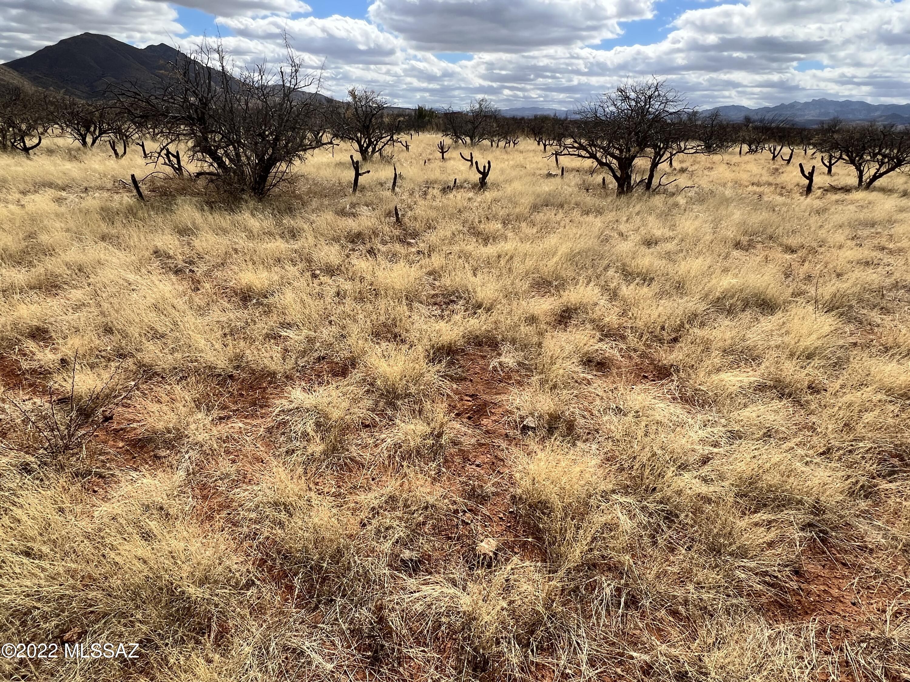 TBD Camino Nacozari/Camino Talaver Unit: 39