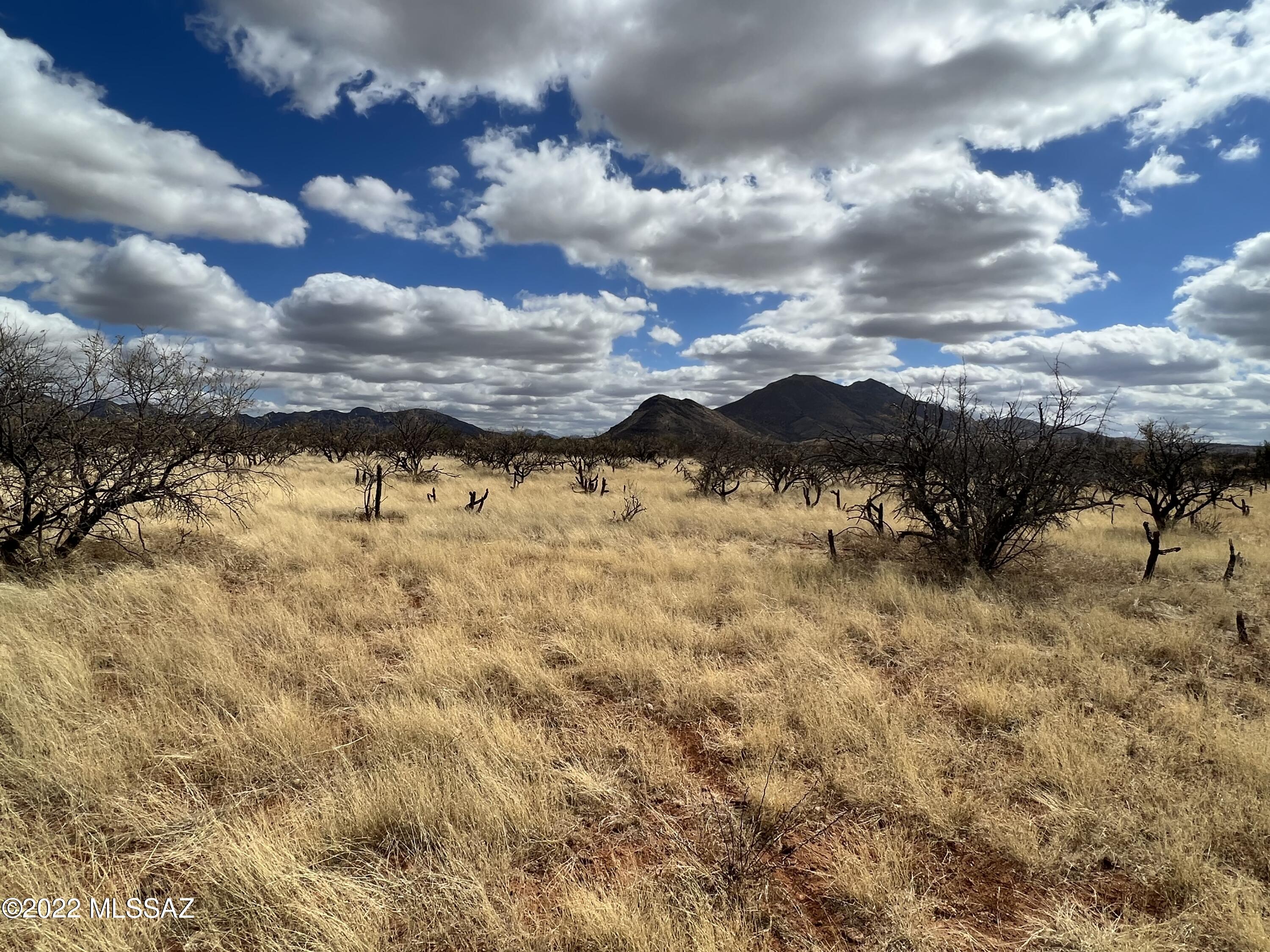 TBD Camino Nacozari/Camino Talaver Unit: 39