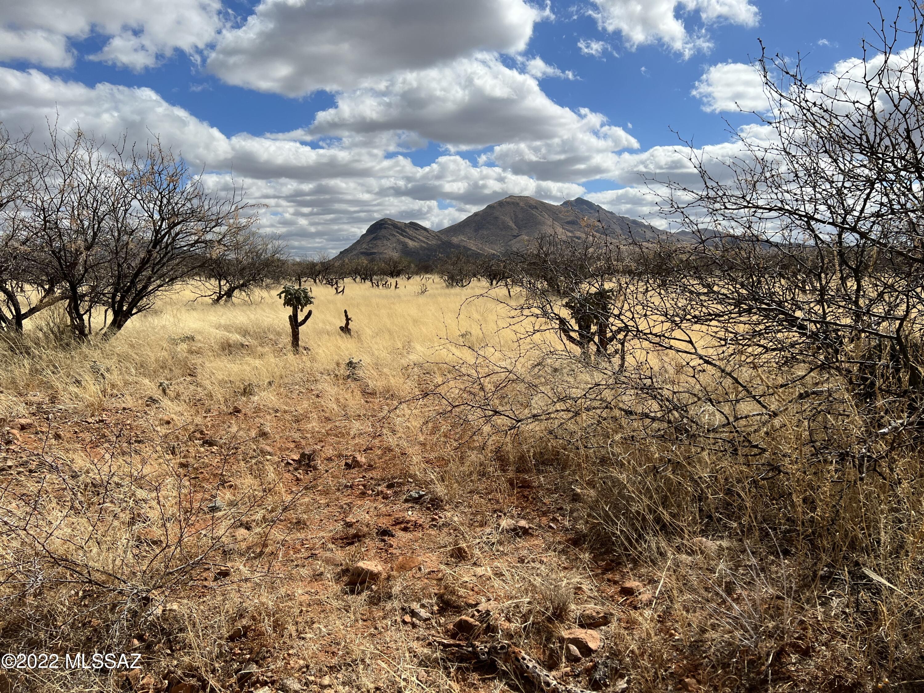 TBD Camino Nacozari/Camino Talaver Unit: 39