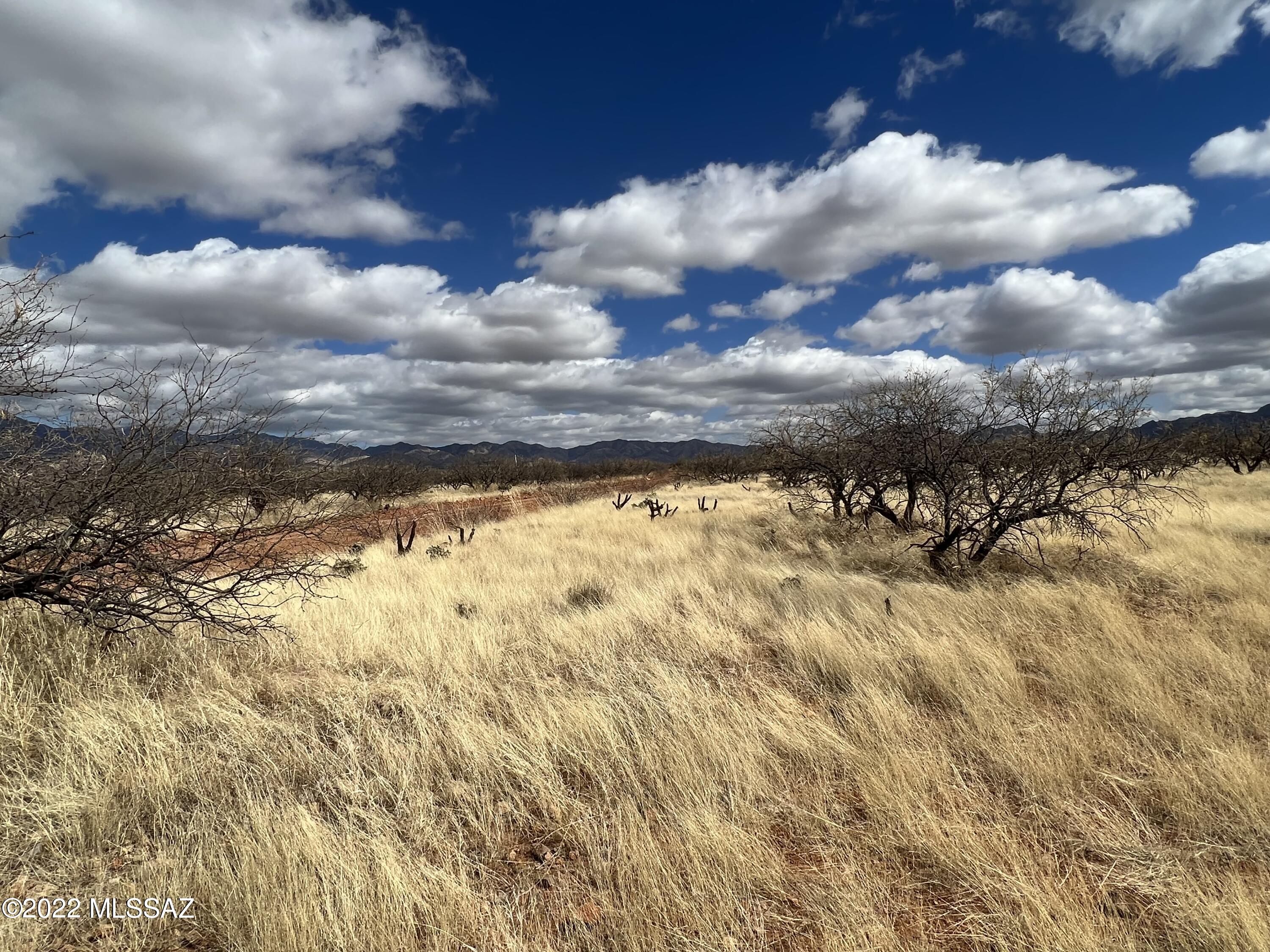 TBD Camino Nacozari/Camino Talaver Unit: 39