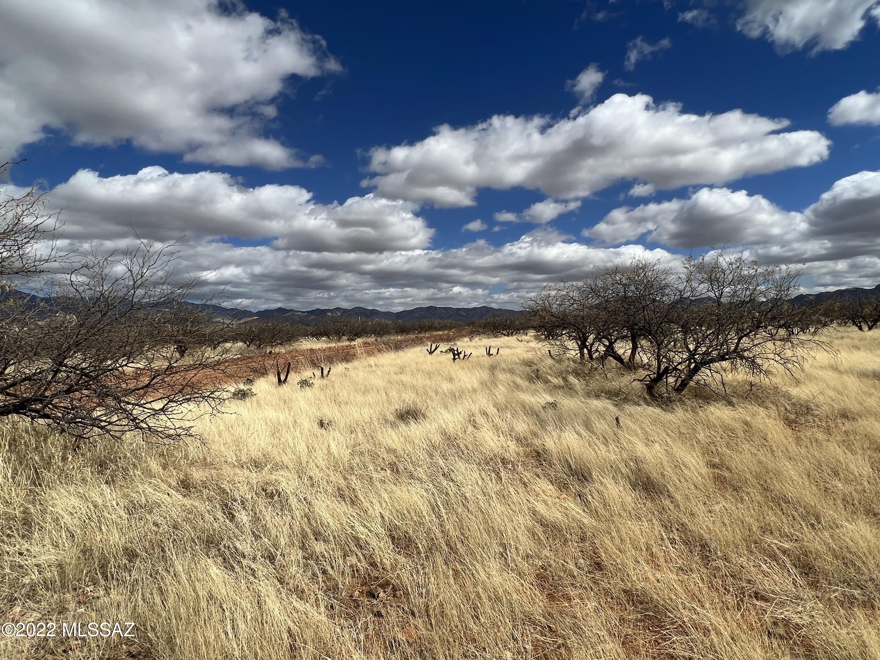 TBD Camino Nacozari/Camino Talaver Unit: 39