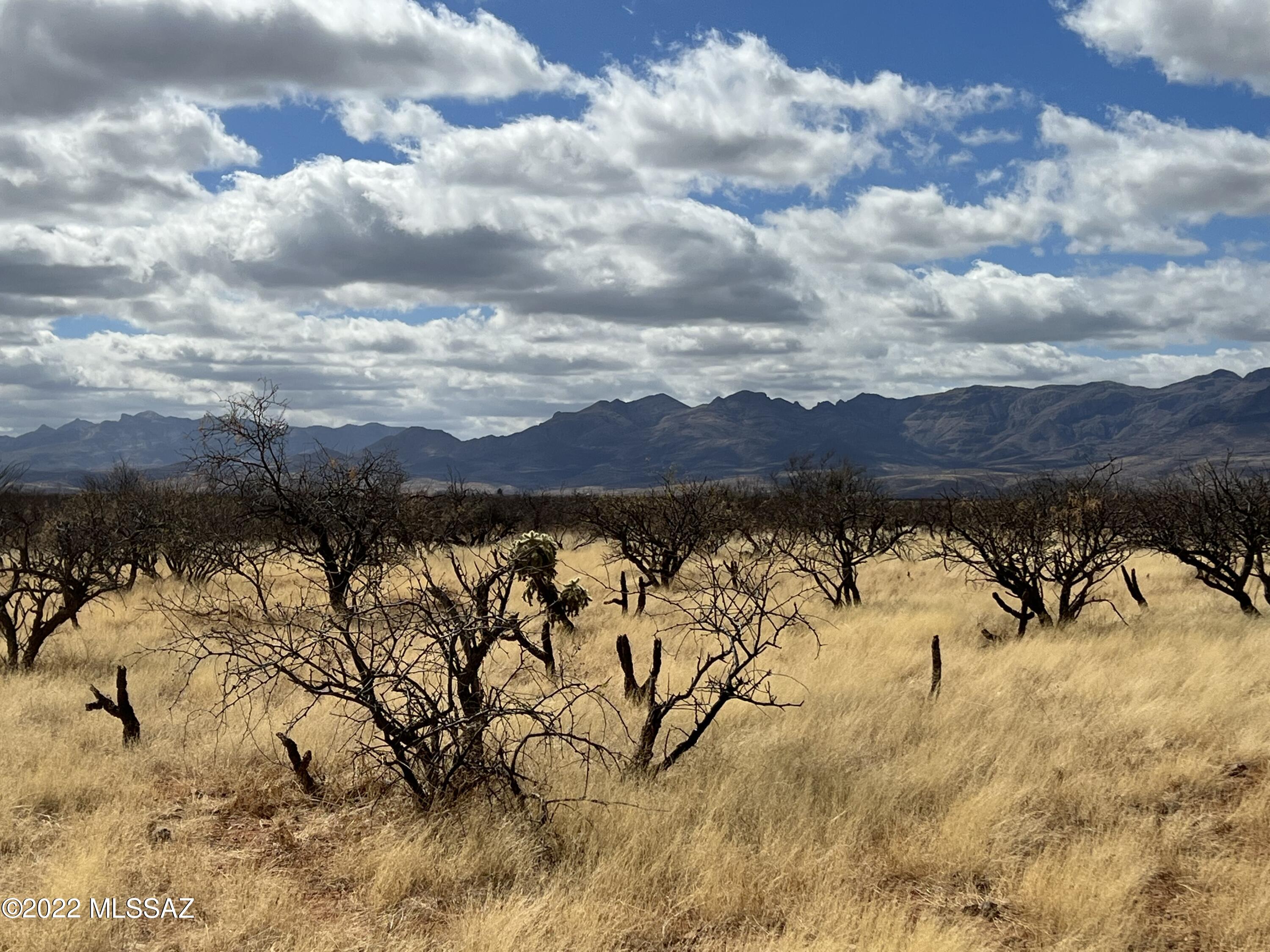 TBD Camino Nacozari/Camino Talaver Unit: 39