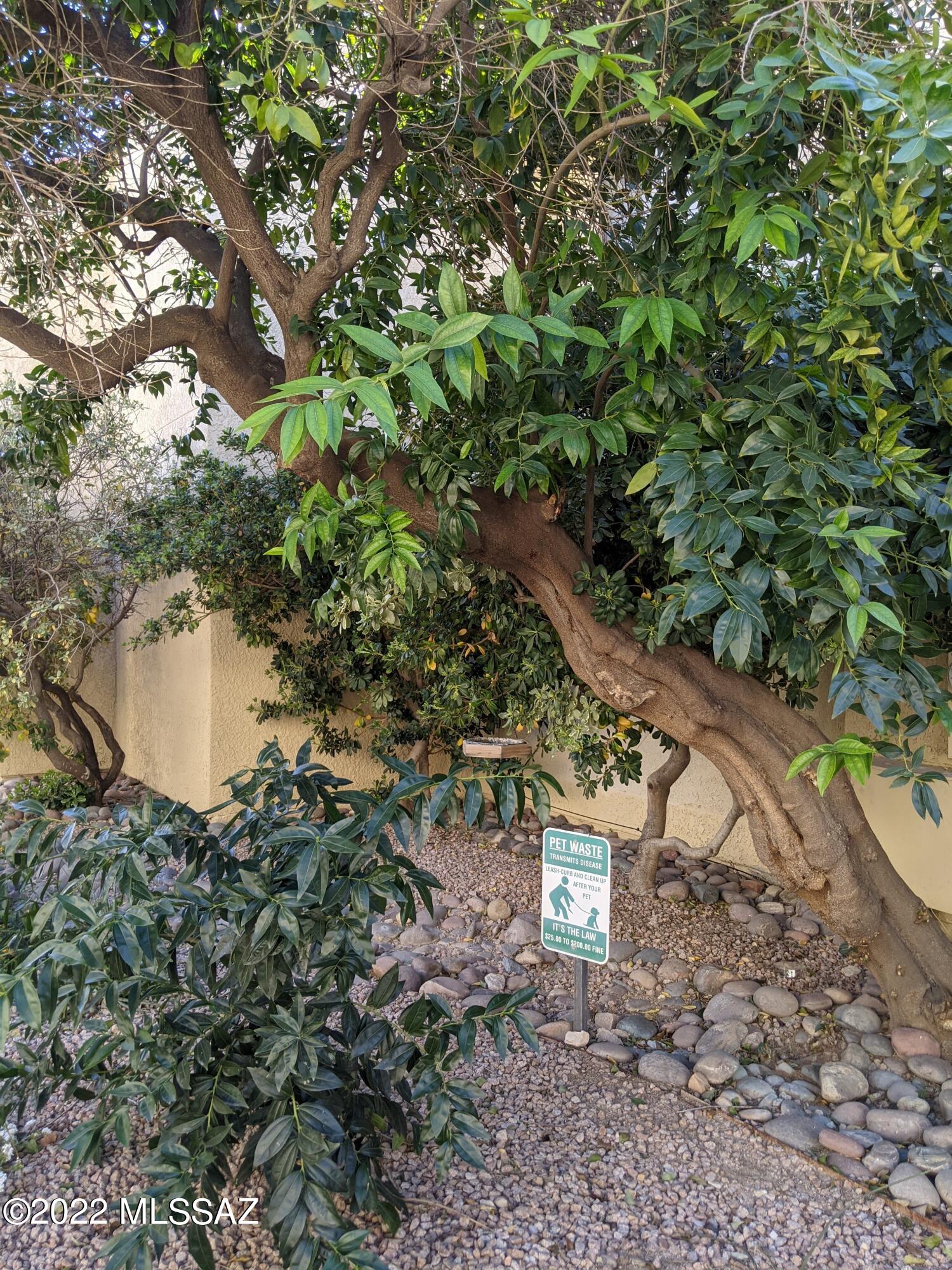 1200 River Road Unit: I-107