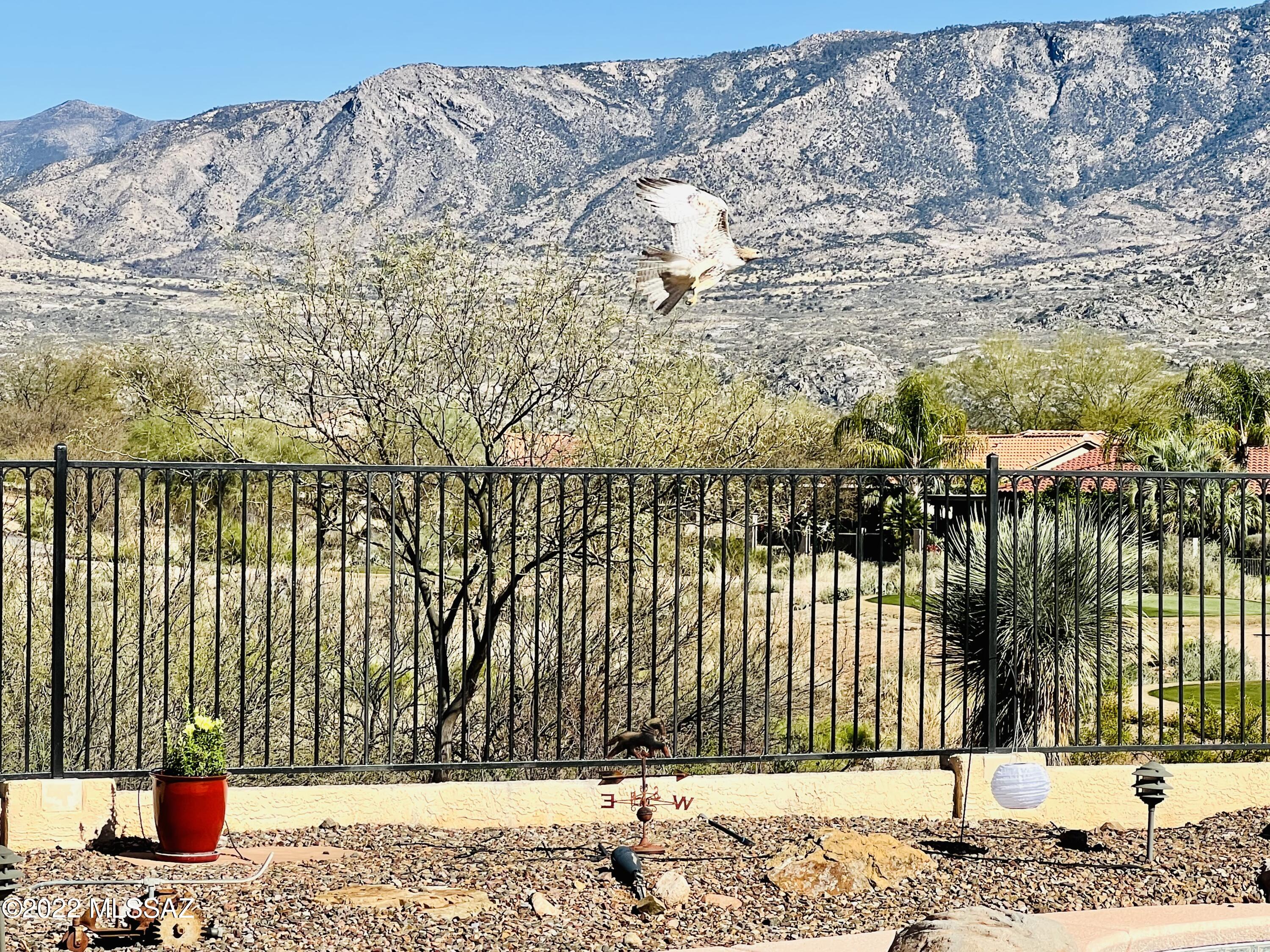 39059 S Clubhouse Drive