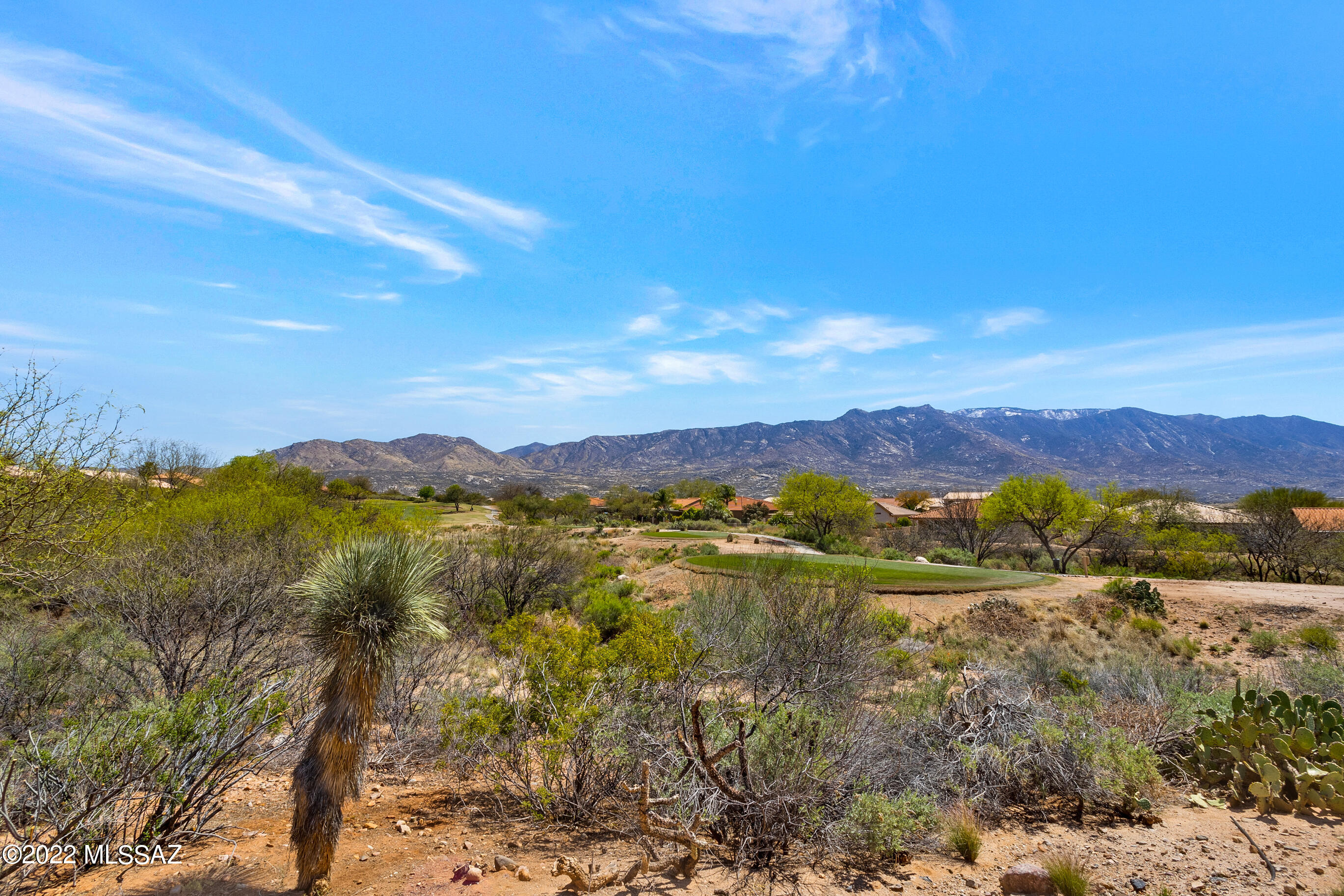 39059 S Clubhouse Drive