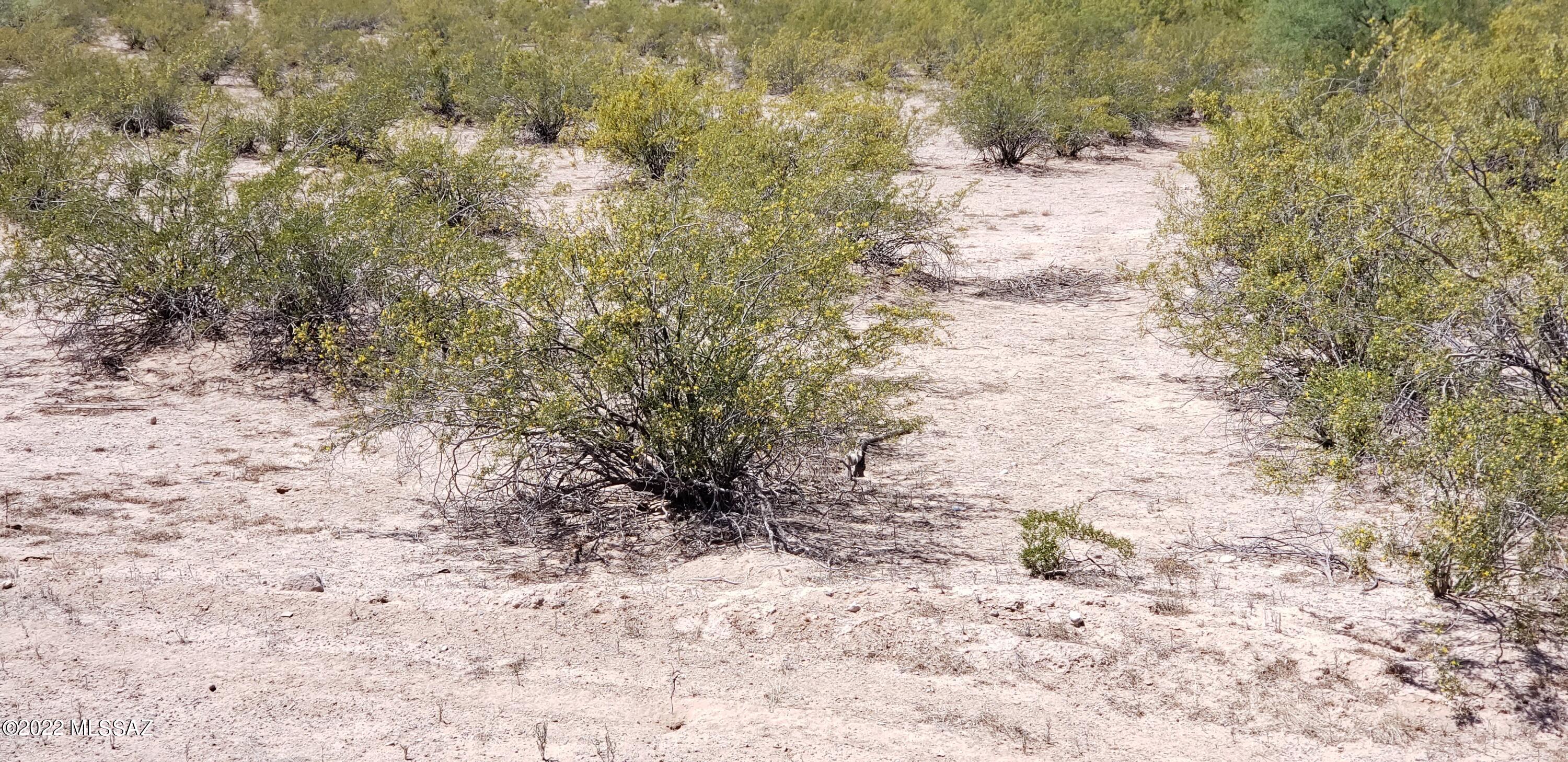 TBD Sagittarius/ Libra Drive Unit: 32