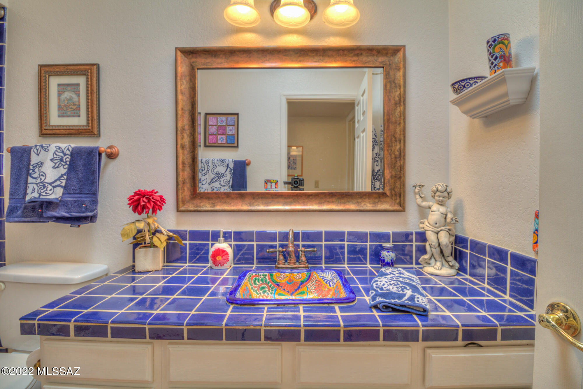 5485 N Camino Del Penoso