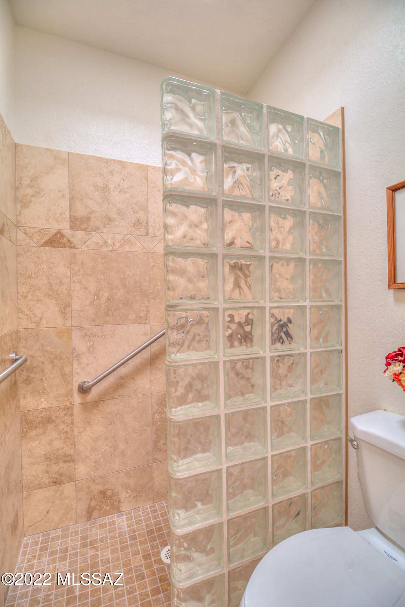 5485 N Camino Del Penoso