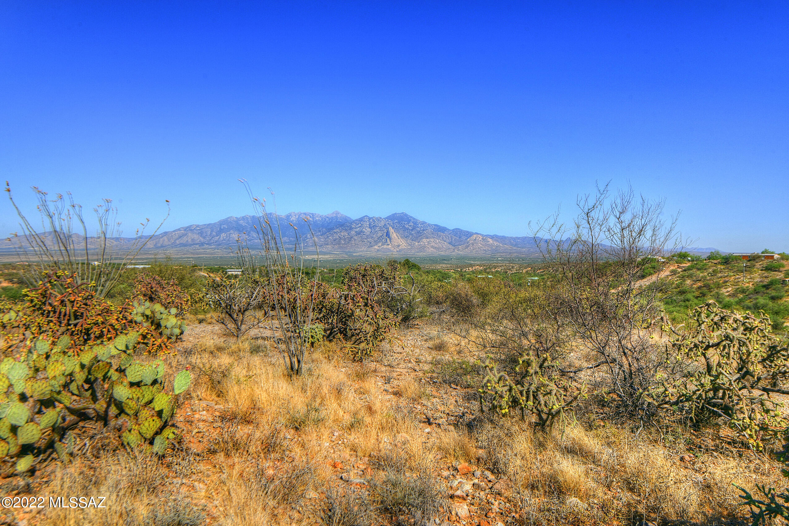 4200 W Calle Ocho Unit: 117