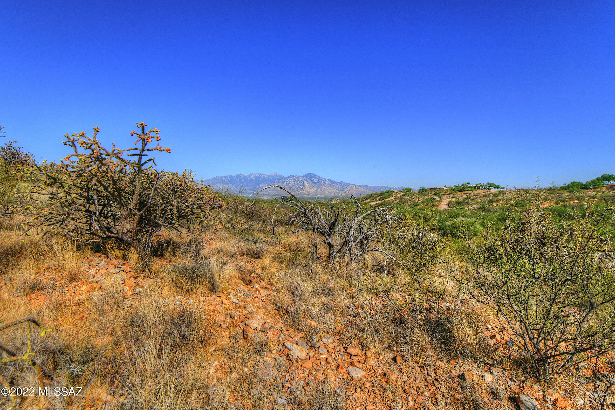 4200 W Calle Ocho Unit: 117