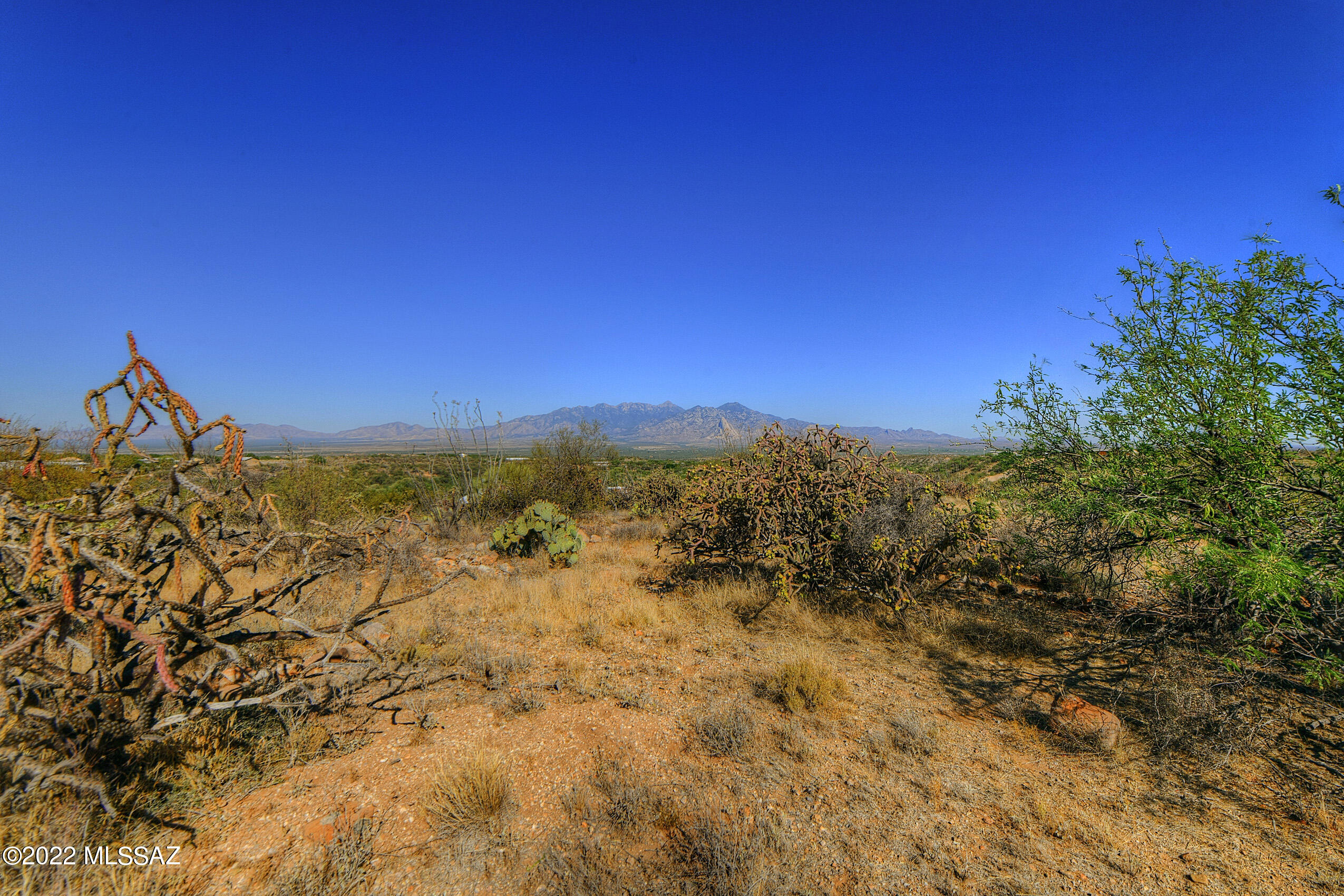 4200 W Calle Ocho Unit: 117