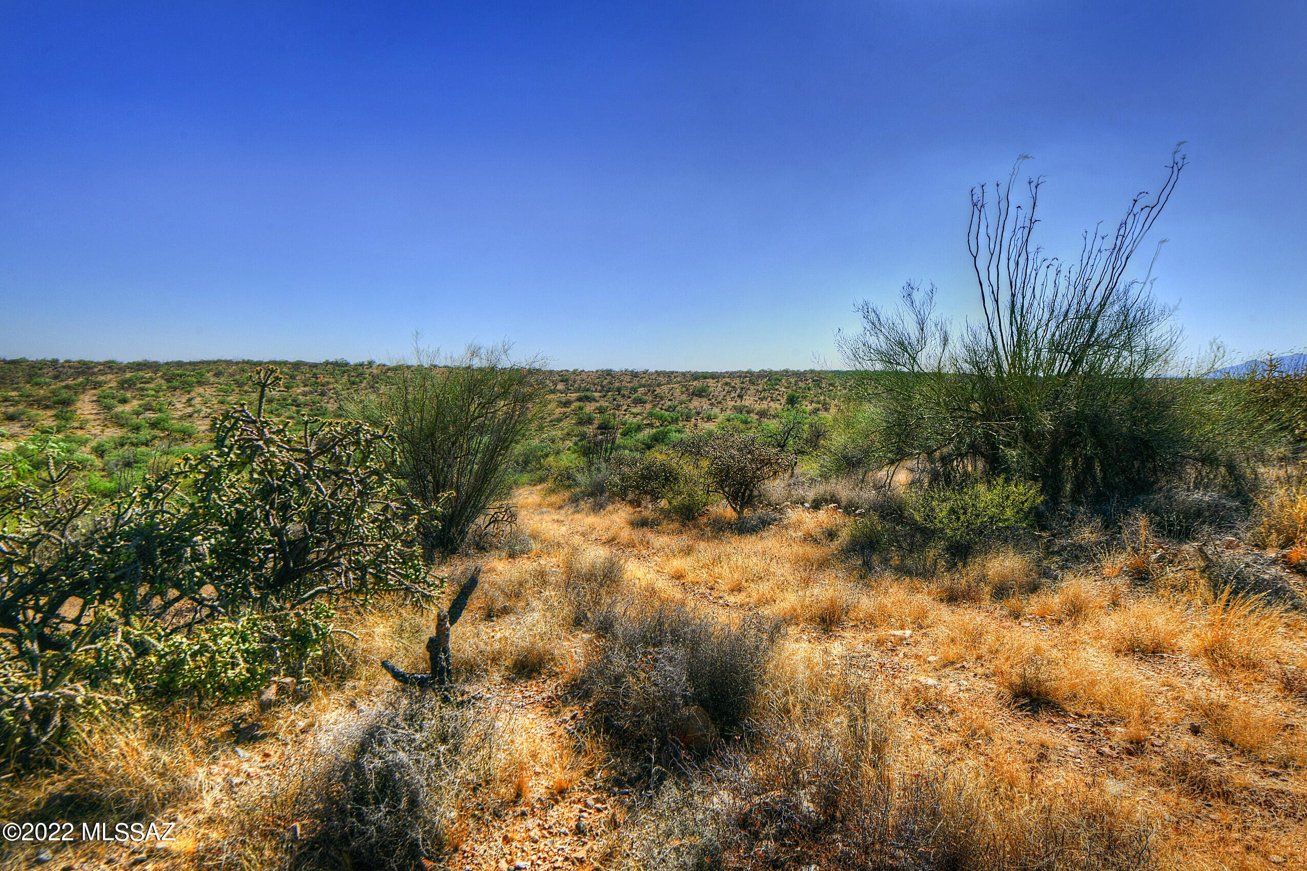 4200 W Calle Ocho Unit: 117