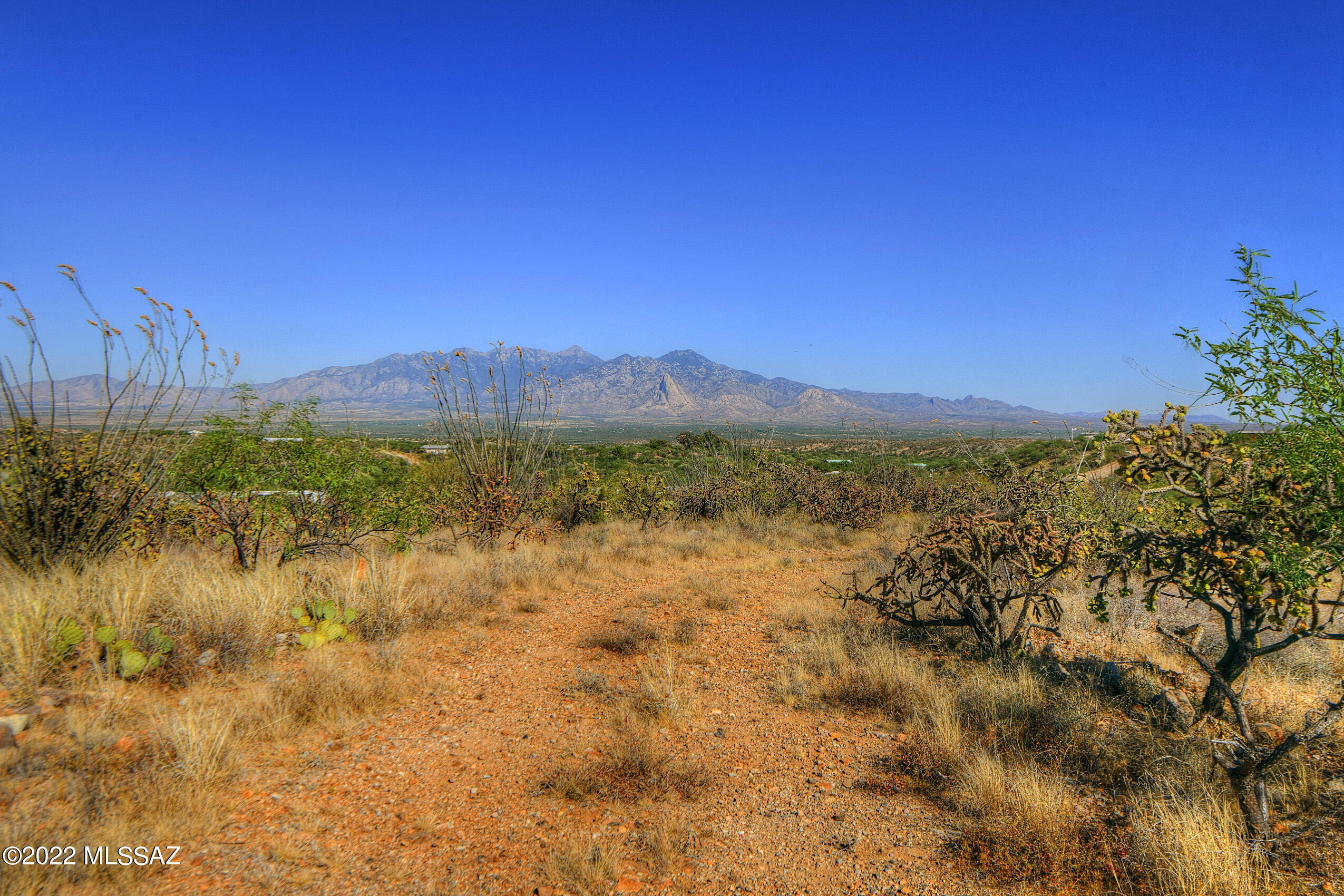 4200 W Calle Ocho Unit: 117