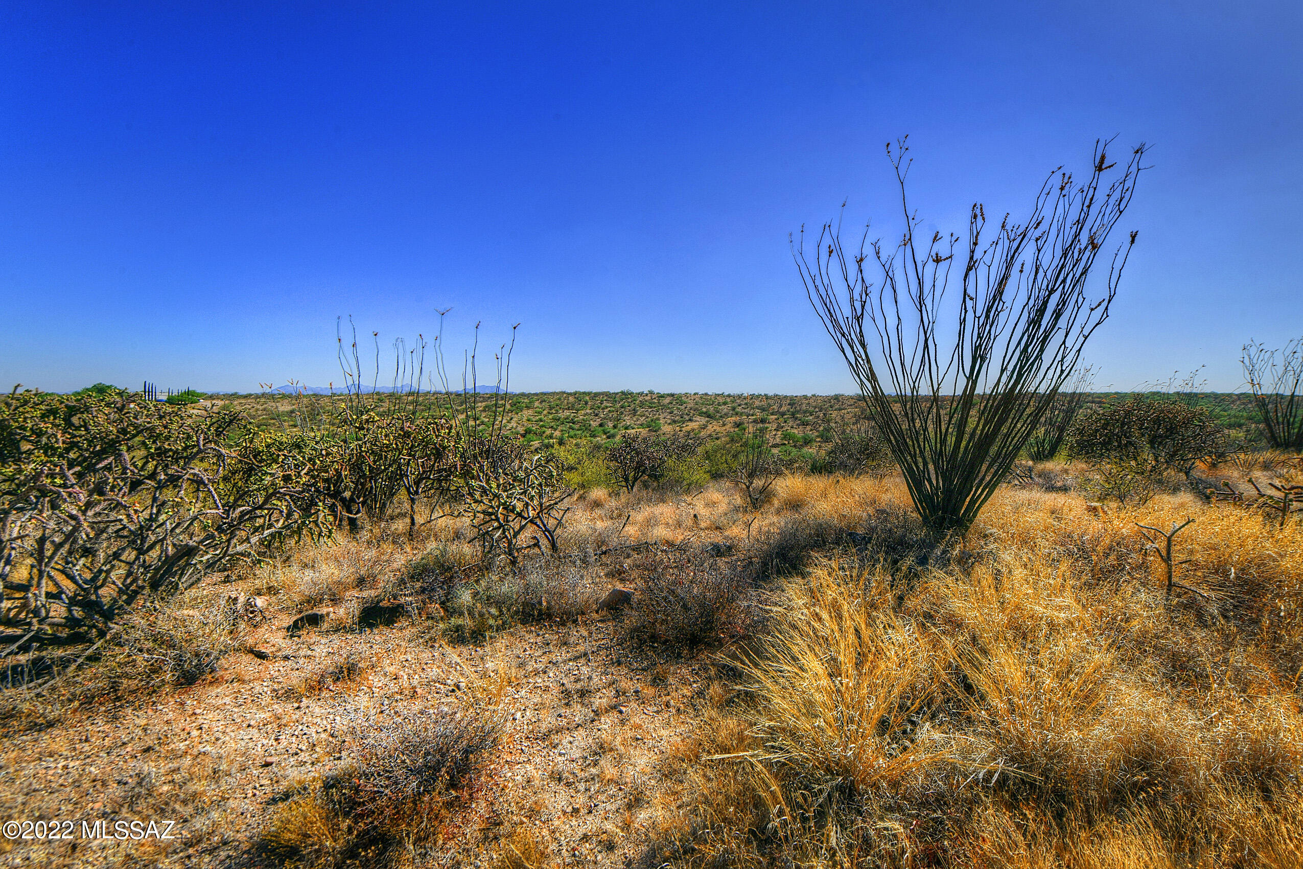 4200 W Calle Ocho Unit: 117