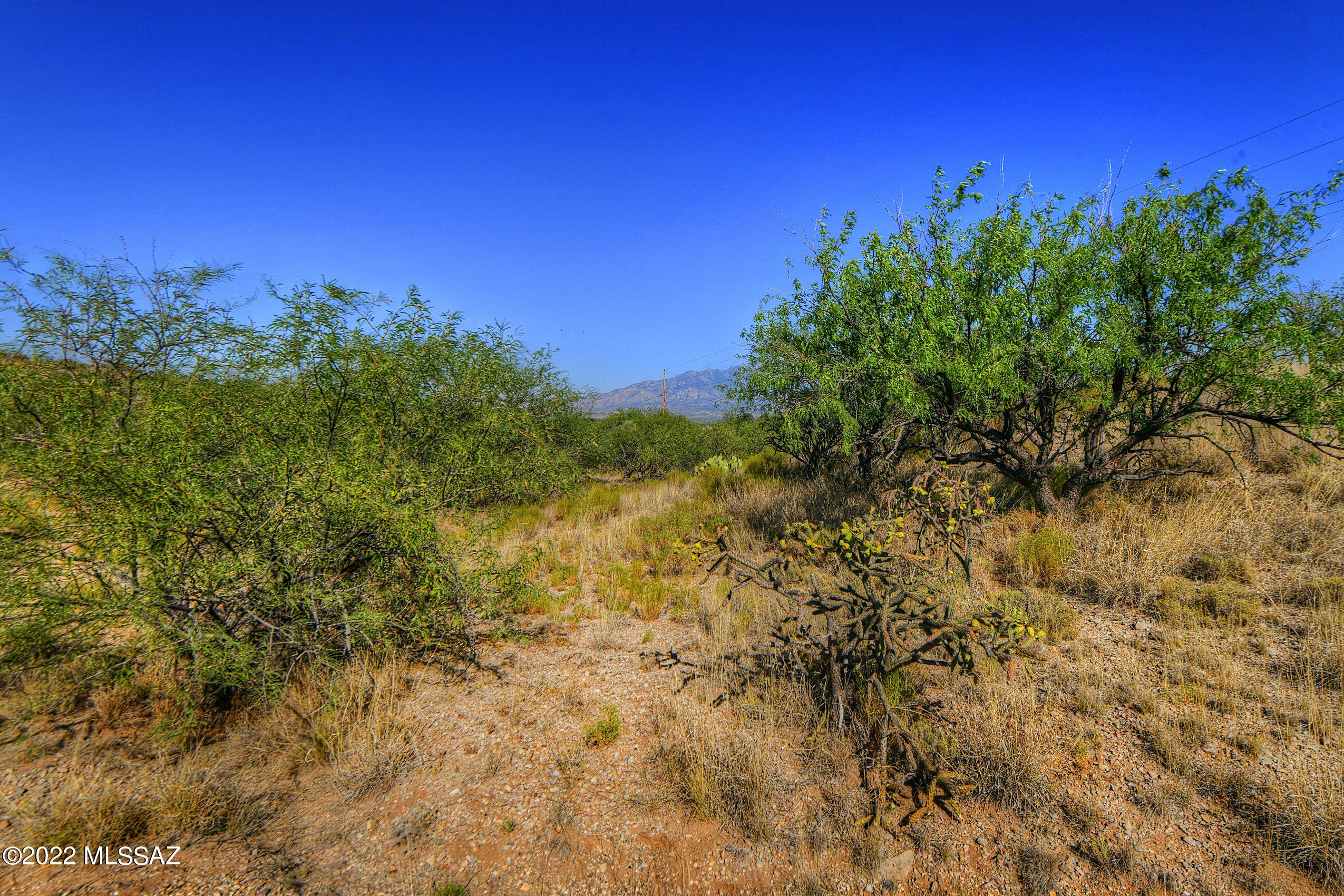 4200 W Calle Ocho Unit: 117