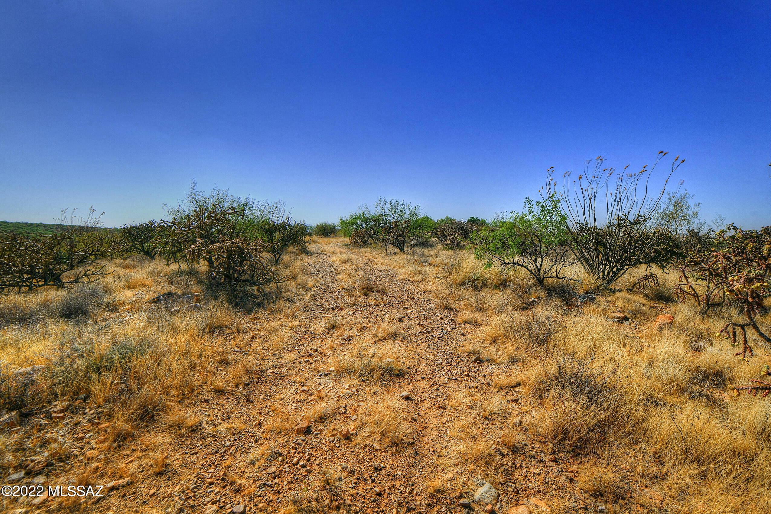 4200 W Calle Ocho Unit: 117