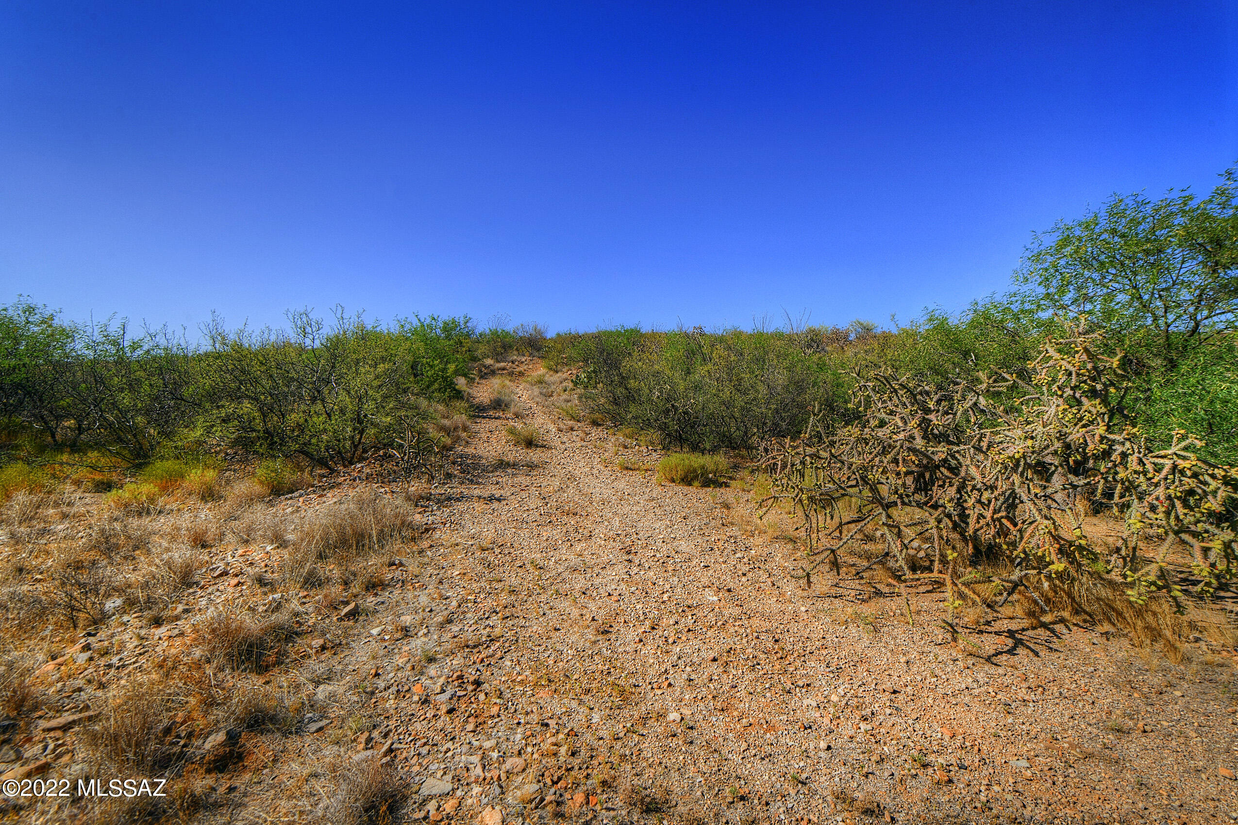 4200 W Calle Ocho Unit: 117