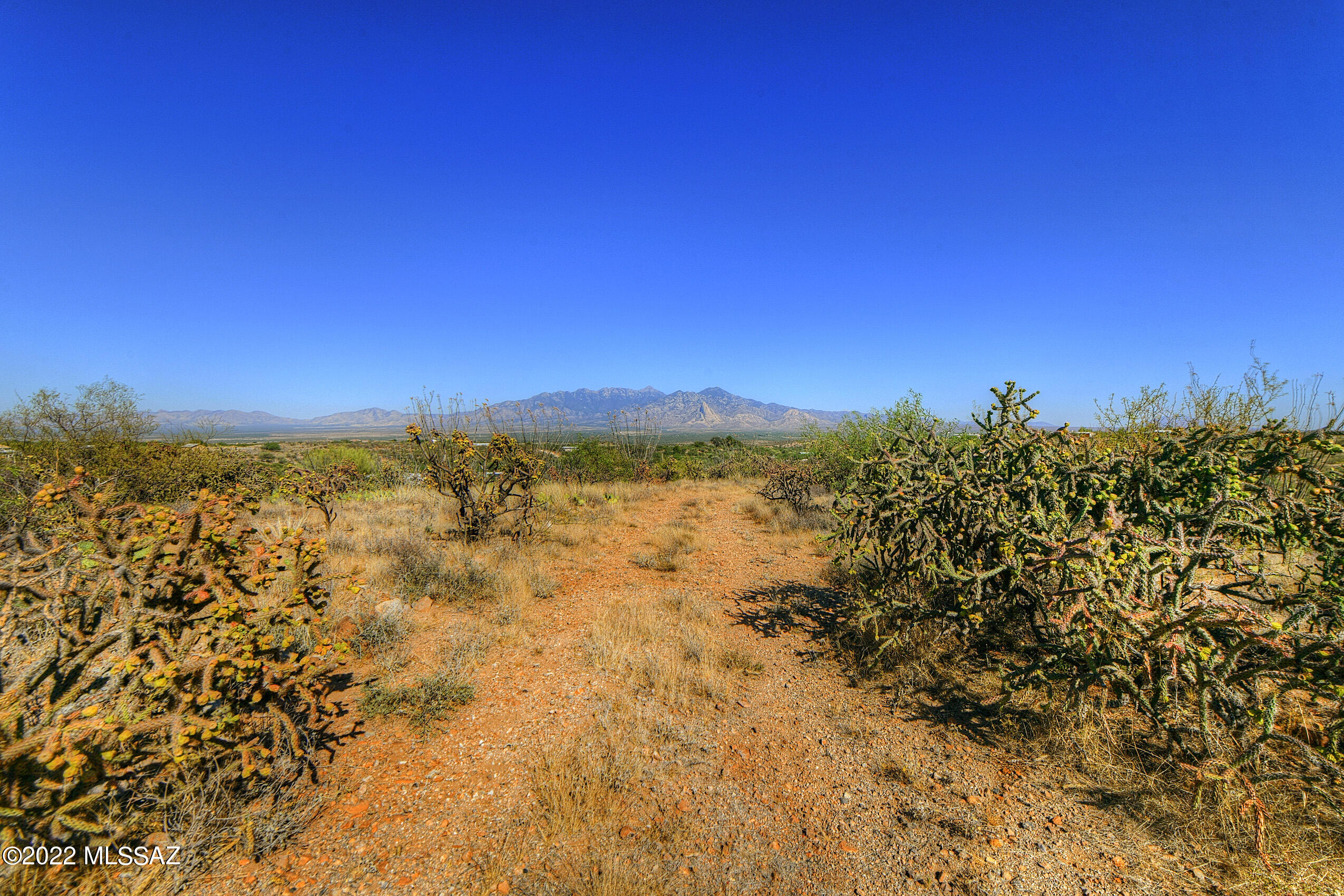 4200 W Calle Ocho Unit: 117