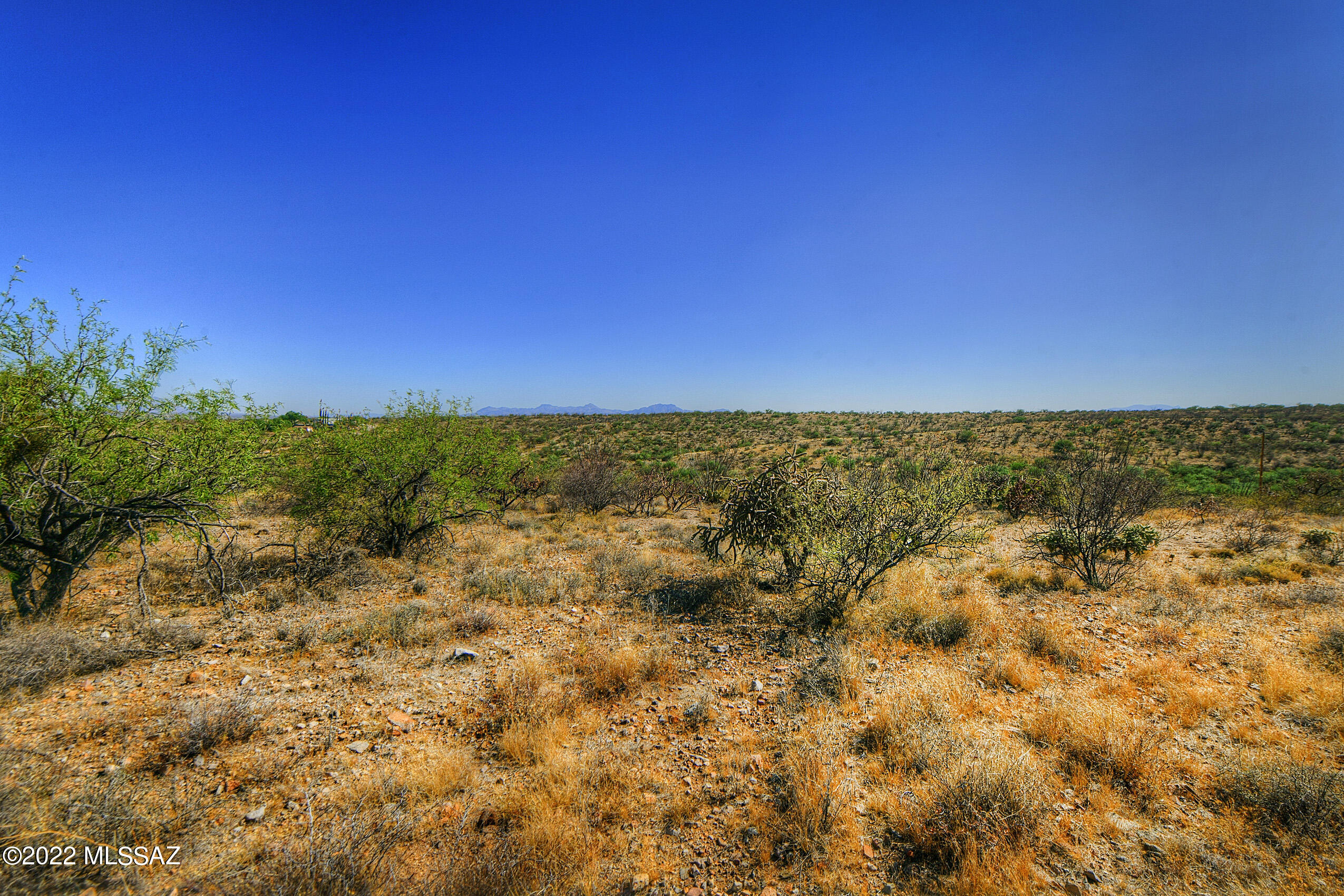 4200 W Calle Ocho Unit: 117