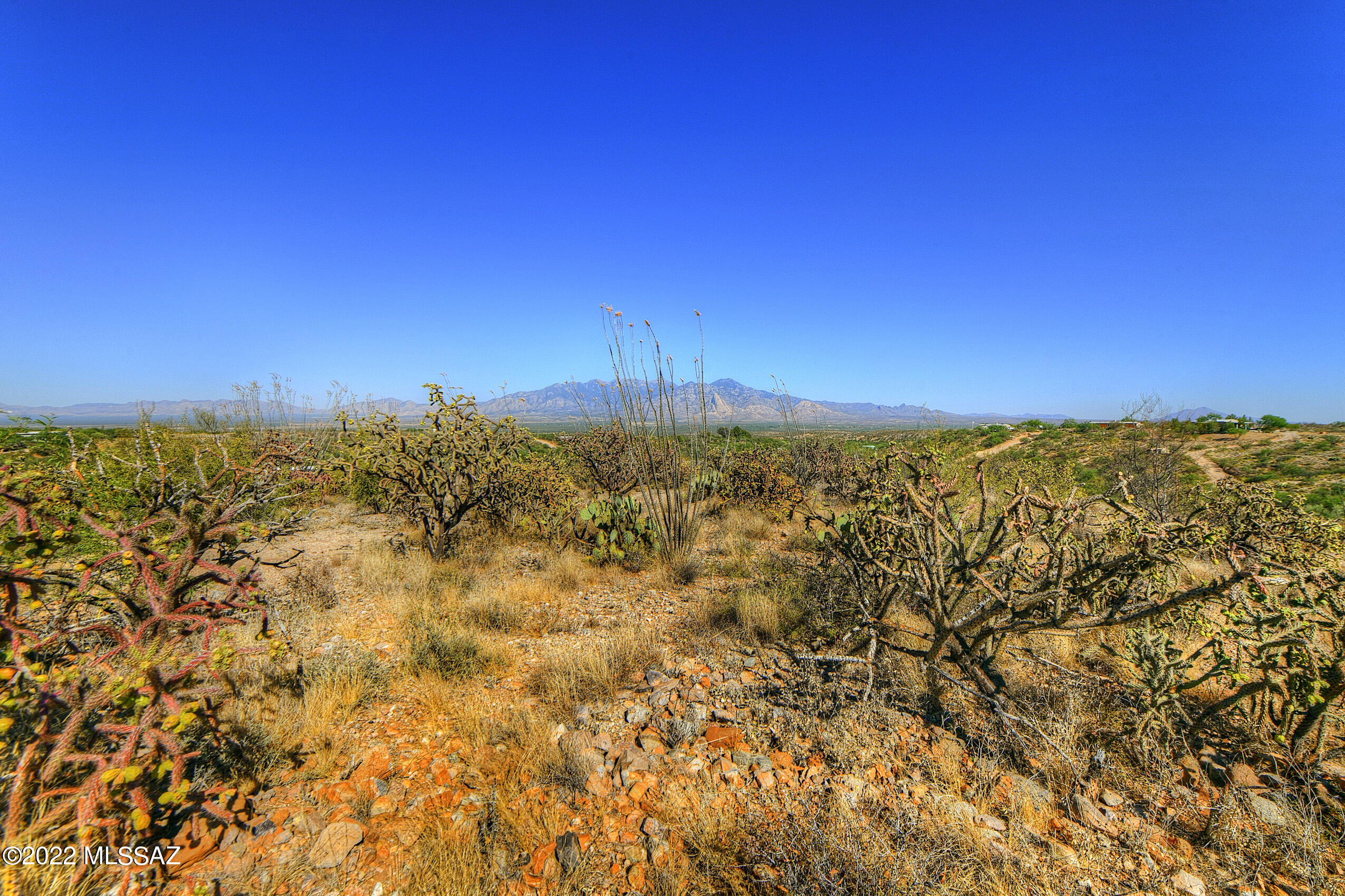 4200 W Calle Ocho Unit: 117