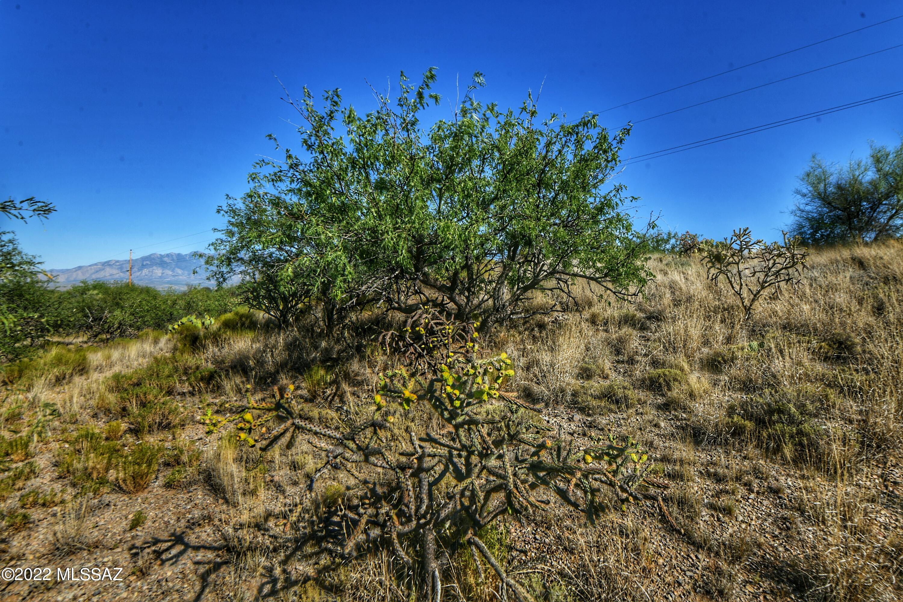 4200 W Calle Ocho Unit: 117