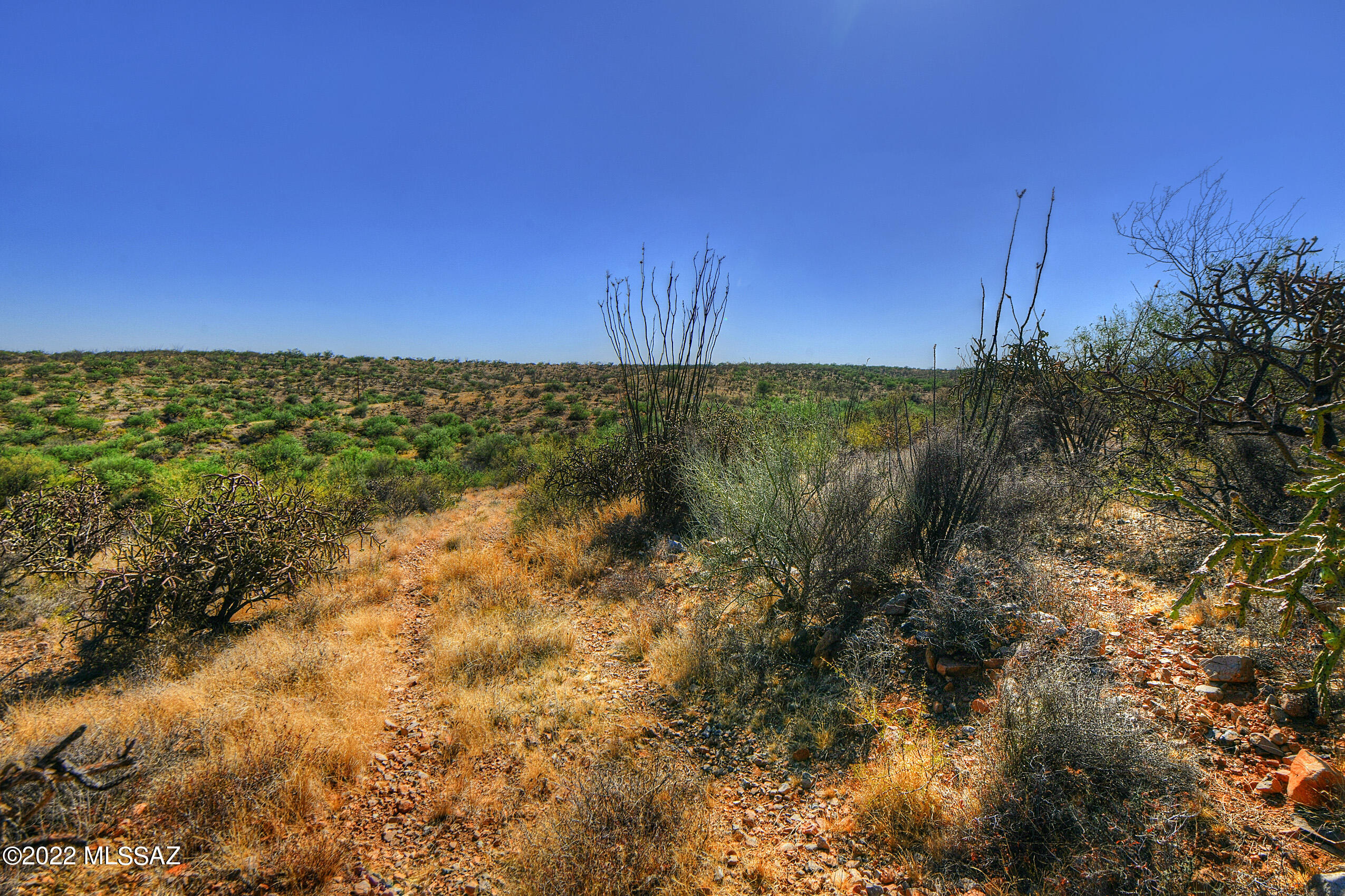 4200 W Calle Ocho Unit: 117