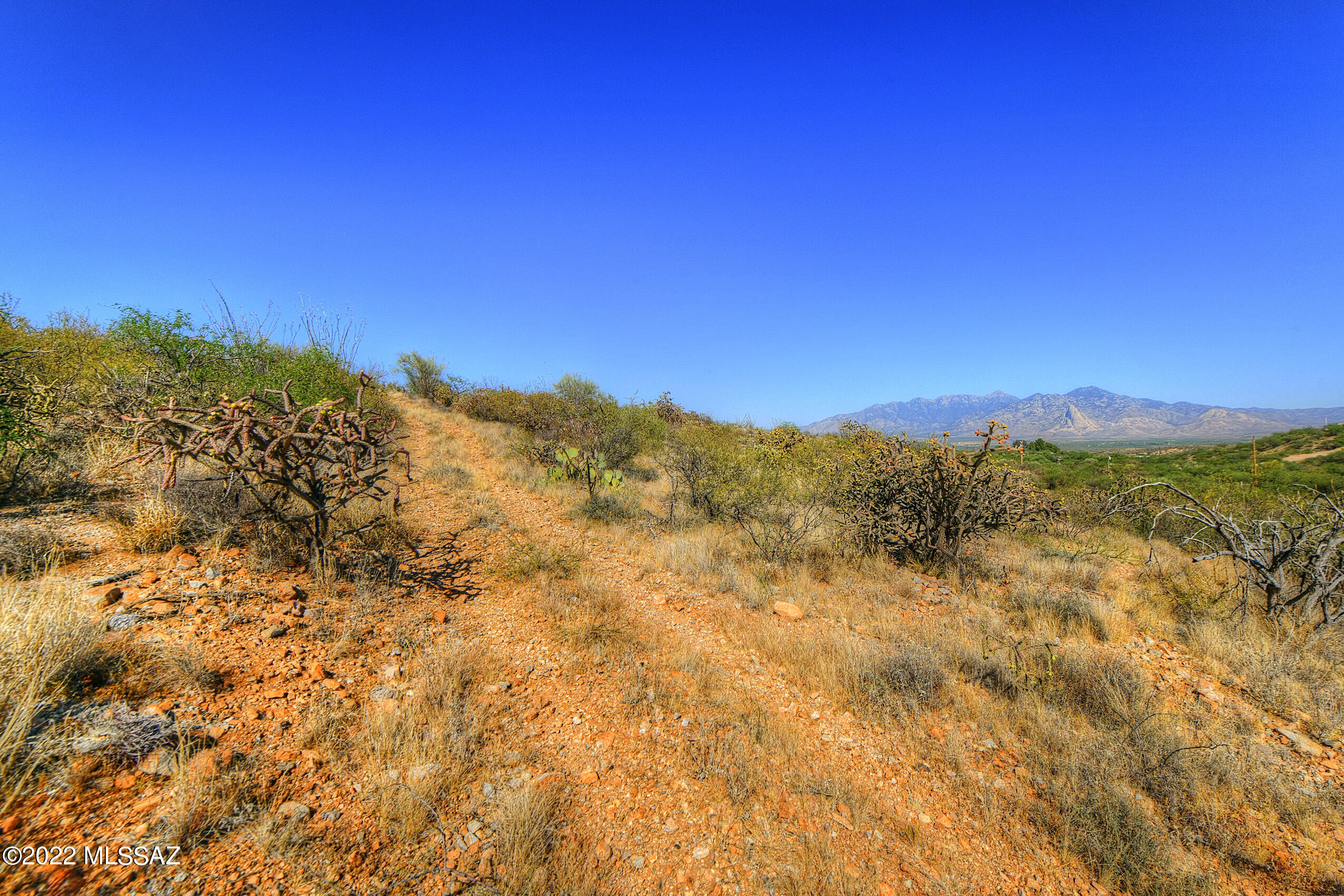 4200 W Calle Ocho Unit: 117