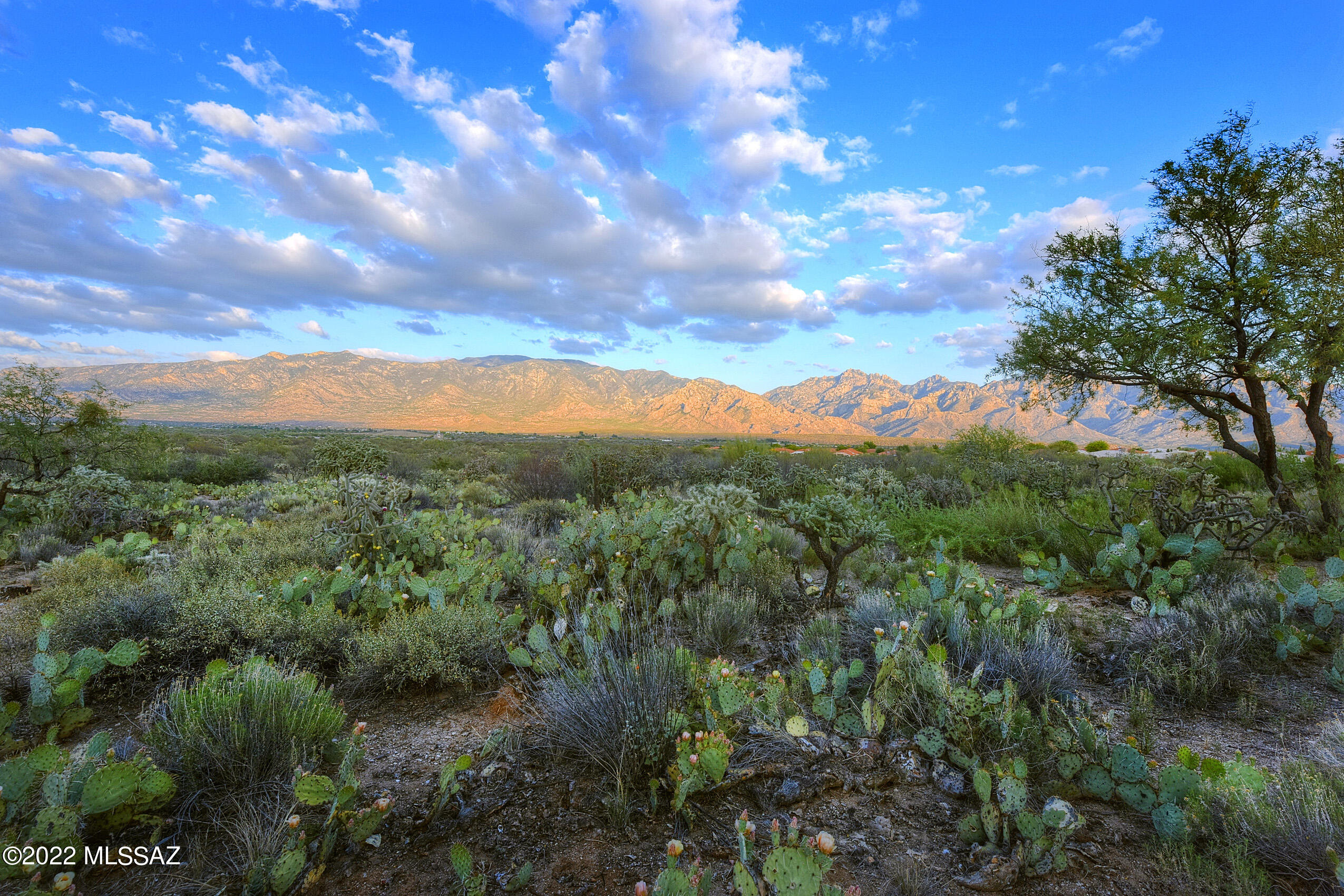 2227 E Buster Mountain Drive