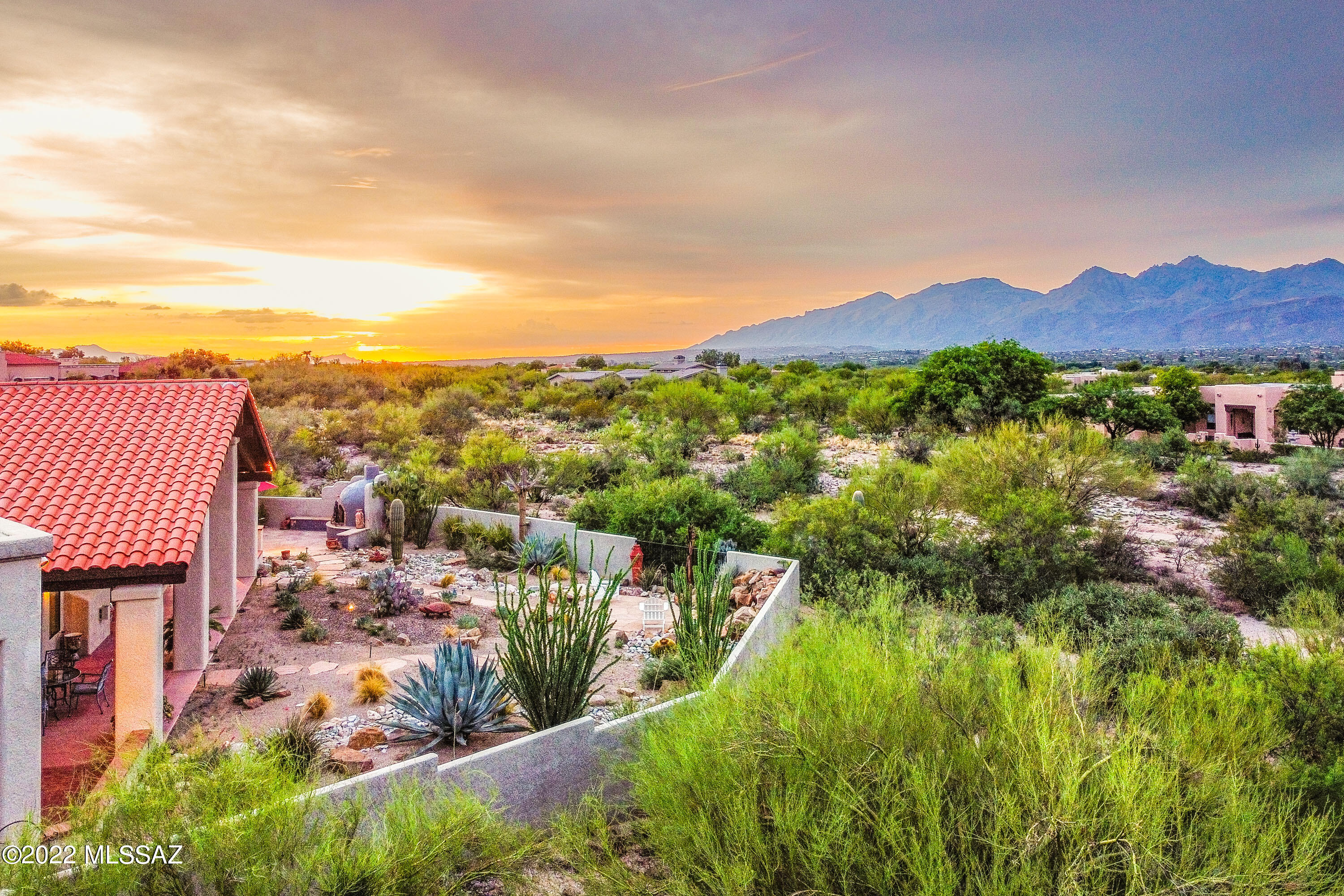 11661 E Lusitano Place