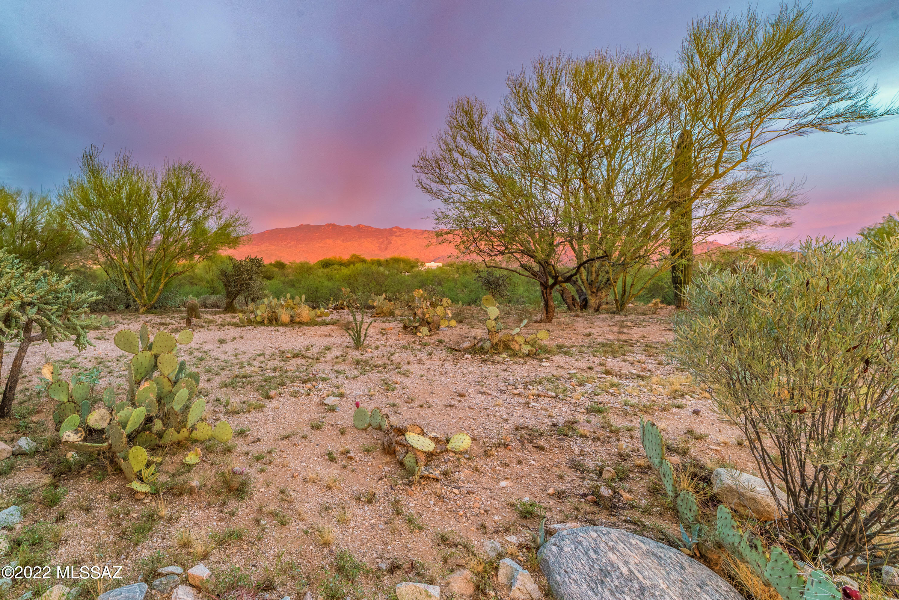 11661 E Lusitano Place